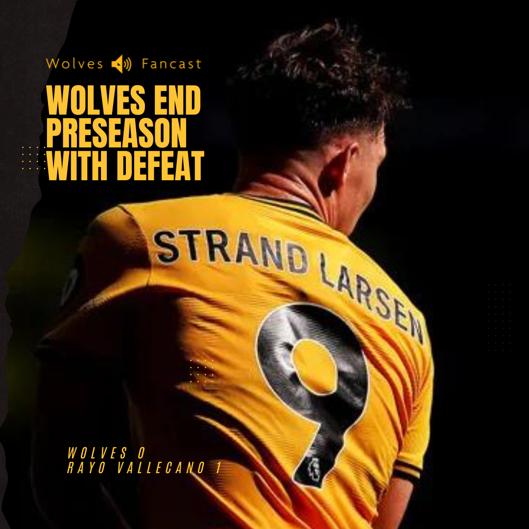 Wolves need ready made players! - Preseason ends in defeat!