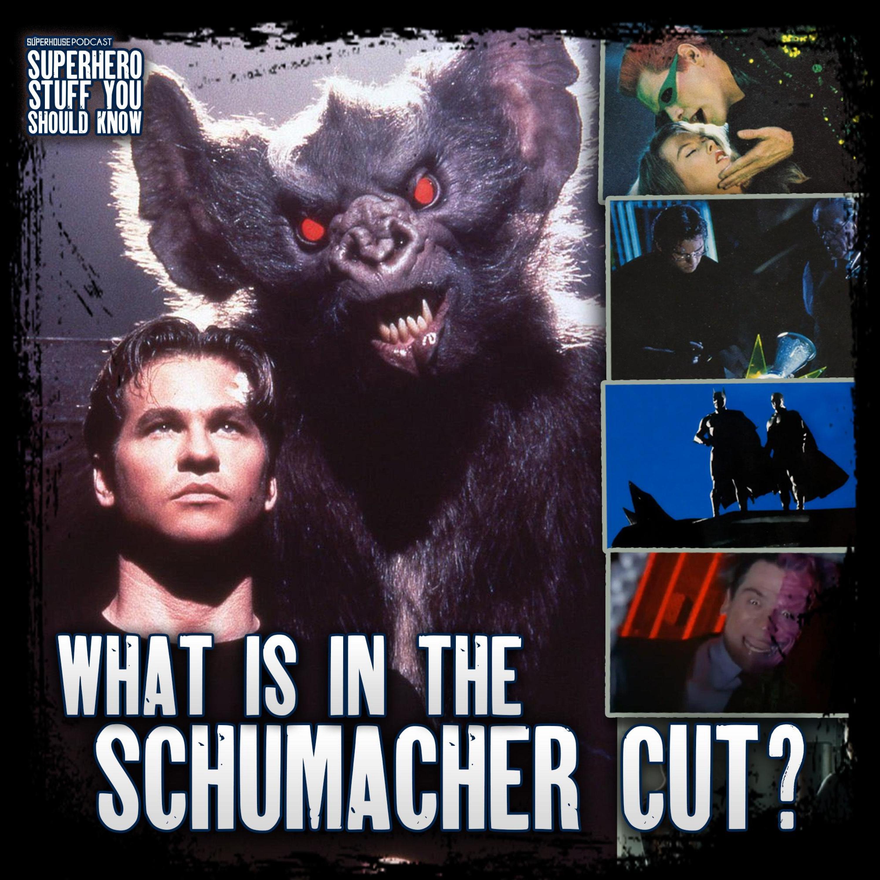 Batman Forever: DELETED SCENES Deep Dive- What's in The "Schumacher Cut?" episode artwork