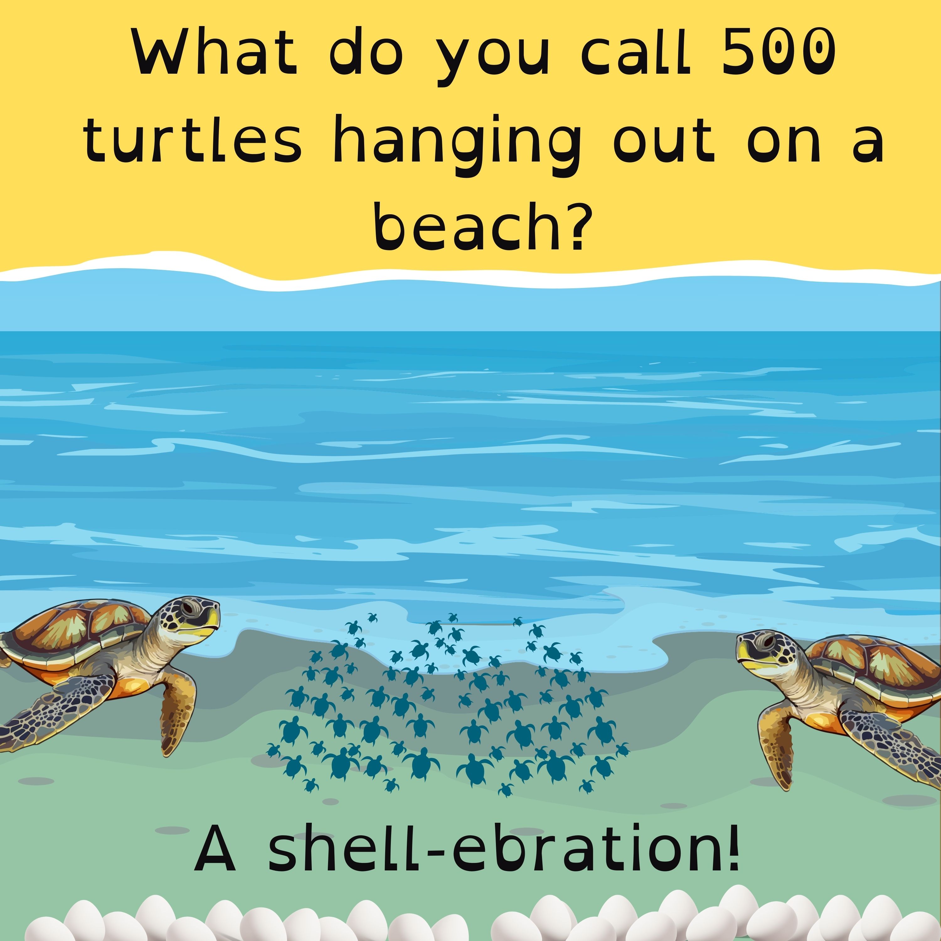 Trump’s new trade tariffs; a record-breaking violin; tiny turtles make a comeback; and a cat-astrophic claim debunked.