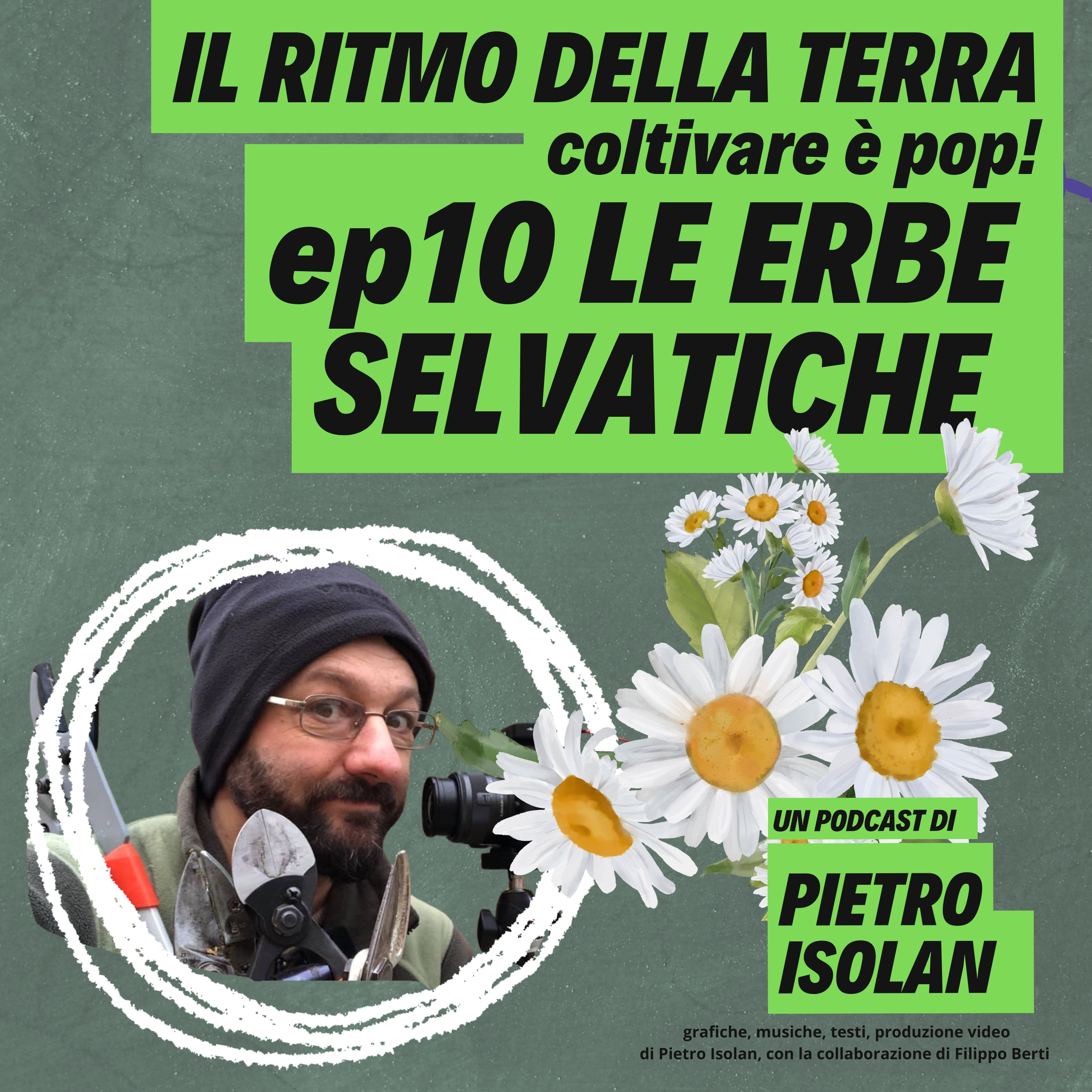 ERBE SELVATICHE - il ritmo della terra - coltivare è pop- ep 10