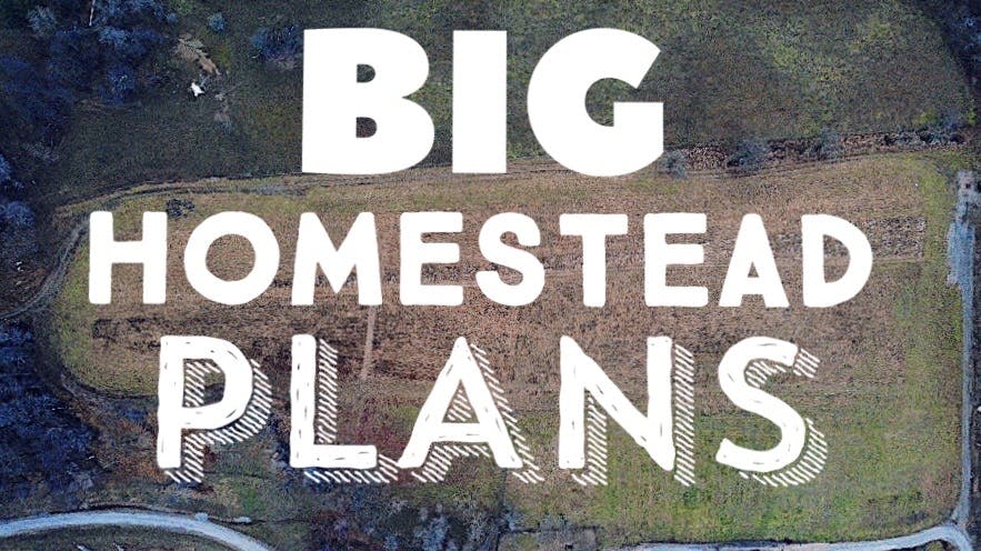 OUR BIG HOMESTEAD PLANS for 2020