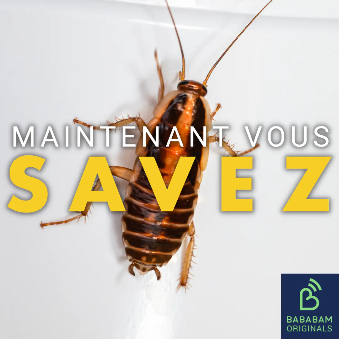 Comment les cafards arrivent-ils chez nous ?