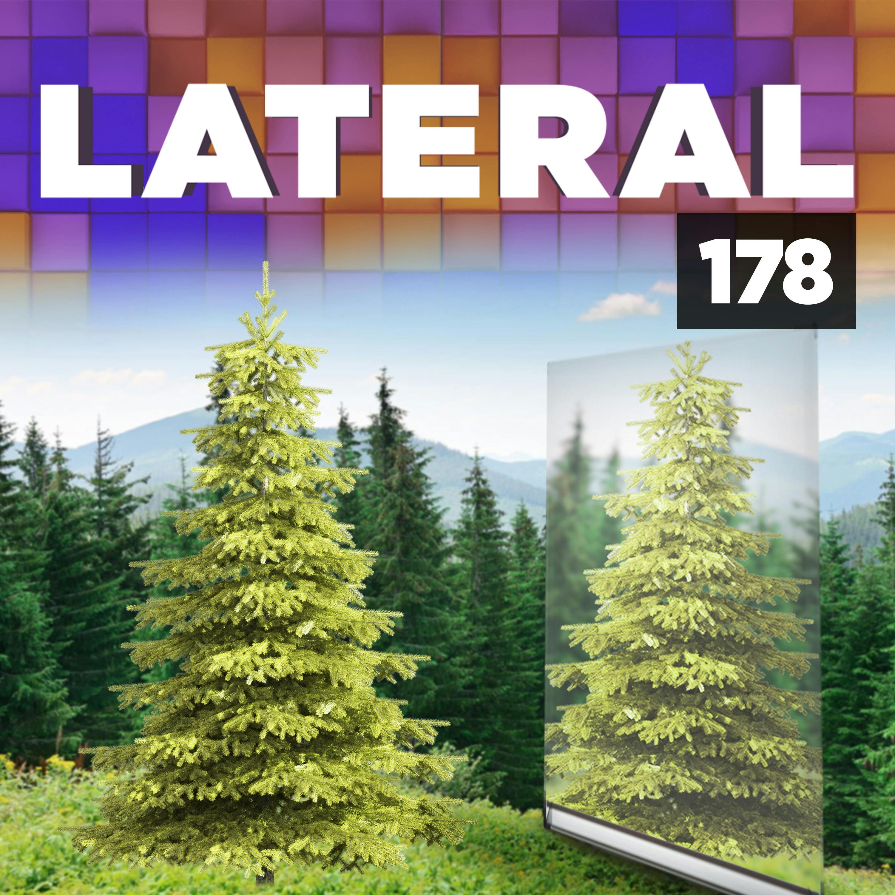 178: The woodland mirror 178: The woodland mirror