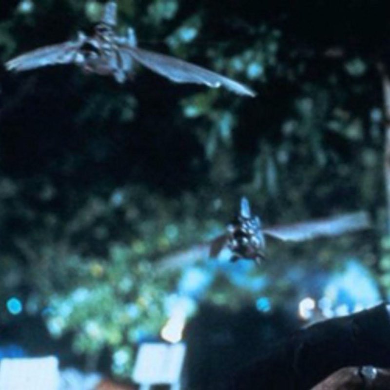 Piranha II - The Spawning (1981)