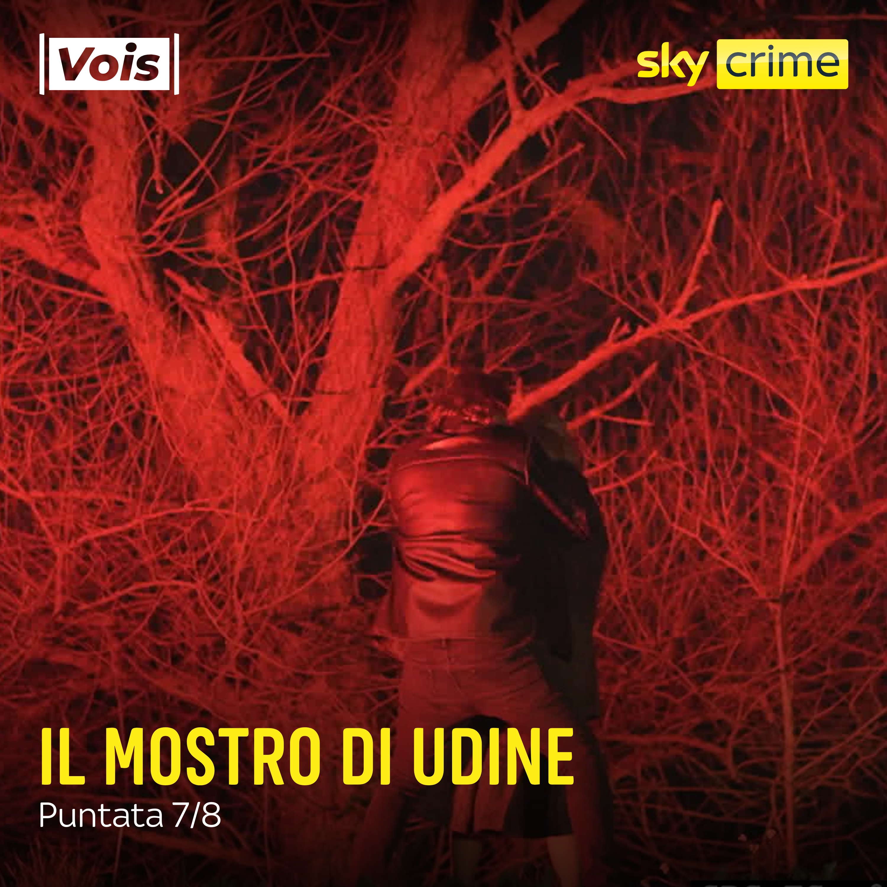 Il mostro di Udine - puntata 7/8