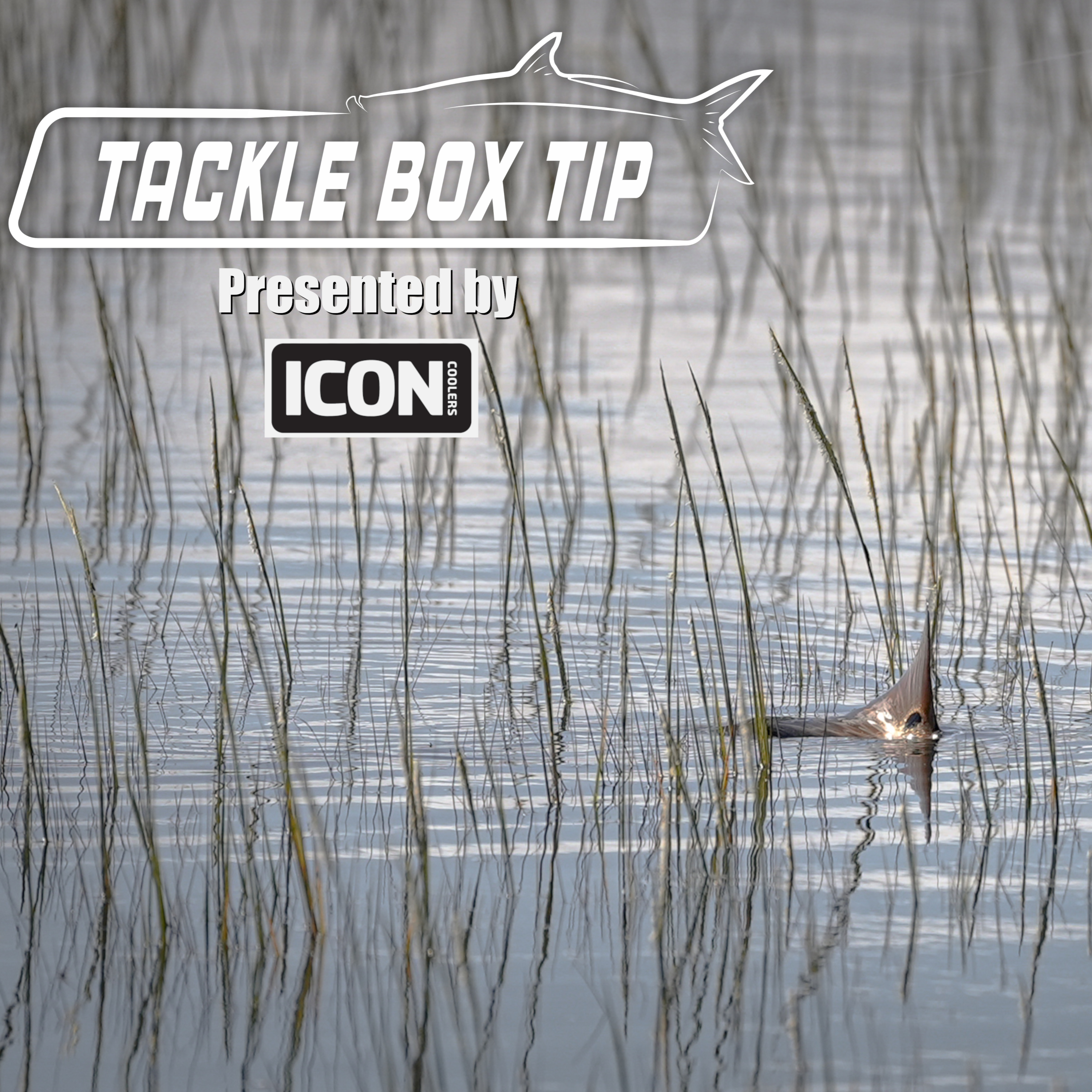 The Captain\'s Log Radio