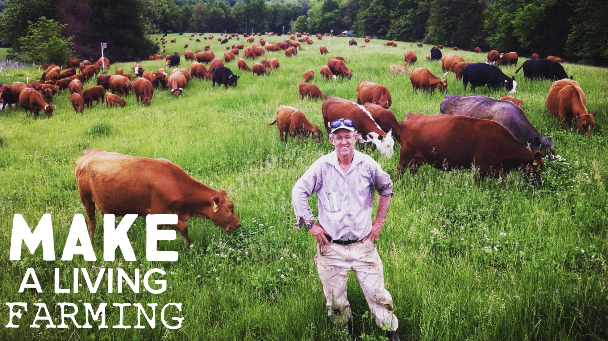 Homesteady - Stories of Living off the Land