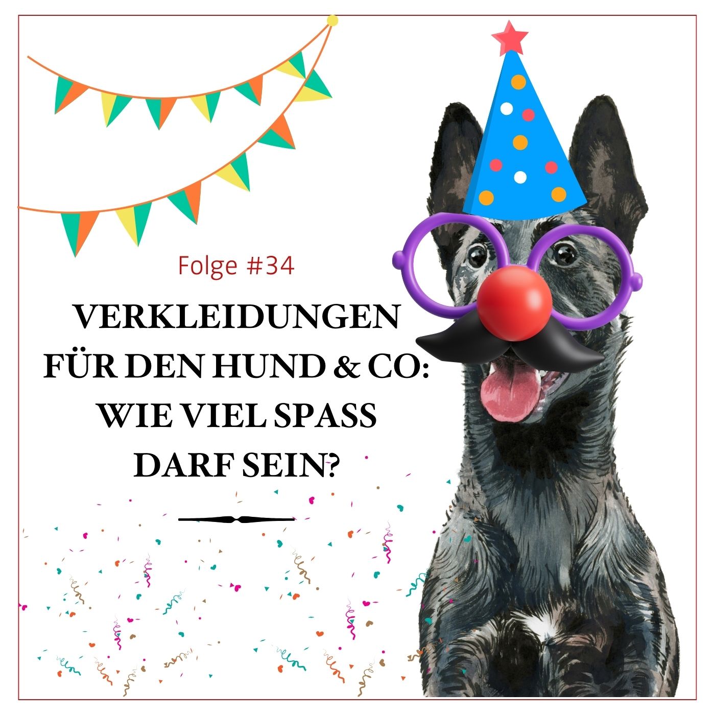Verkleidungen für den Hund & Co: Wie viel Spaß darf sein? – #34