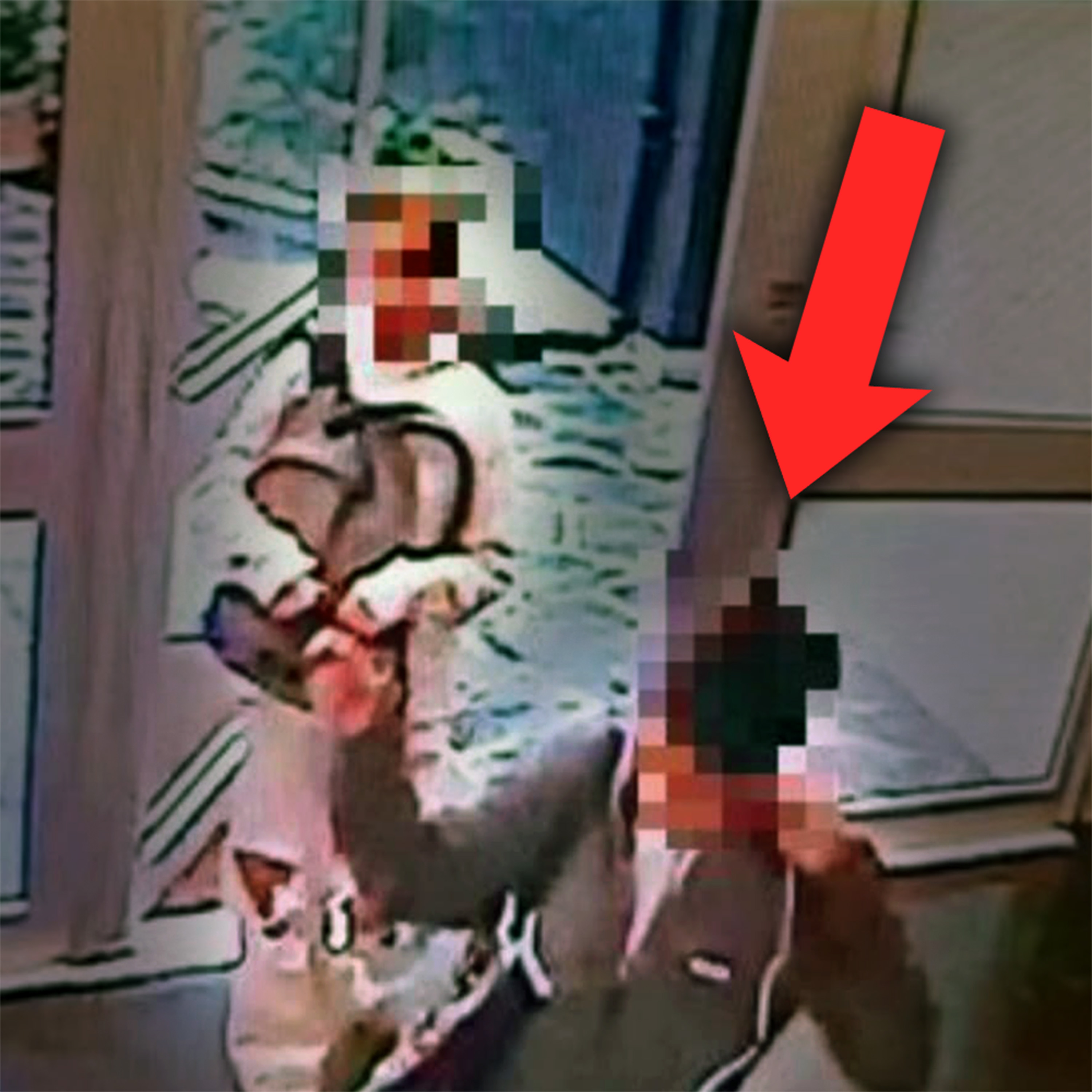 She held the door open for her killer (REAL Footage) episode artwork