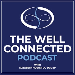 The Well Connected Podcast: Live Your Life In Alignment podcast artwork
