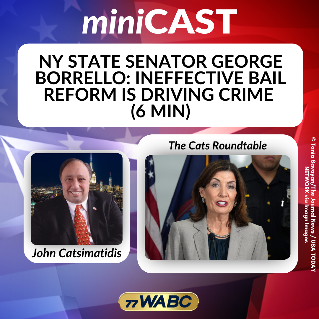 NY State Senator George Borrello: Ineffective Bail Reform is Driving Crime (6 min)