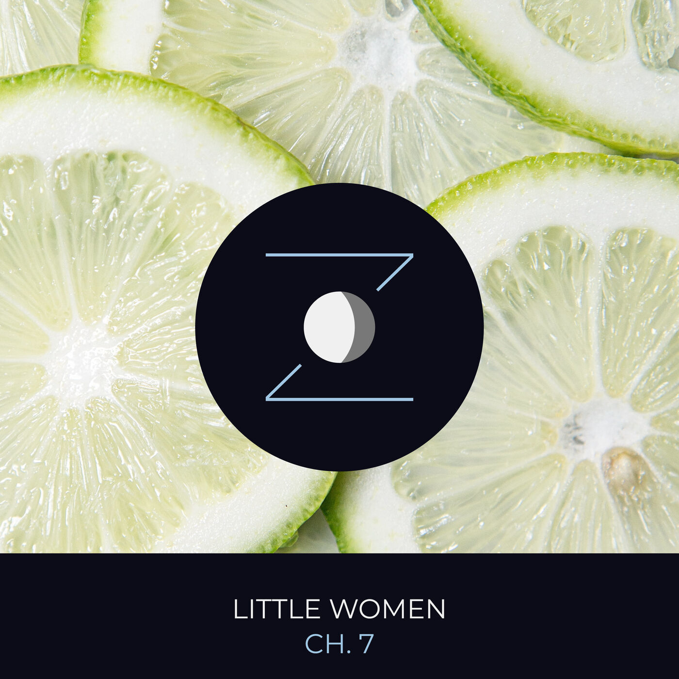 Little Women ch. 7 "Amy's Valley of Humiliation"