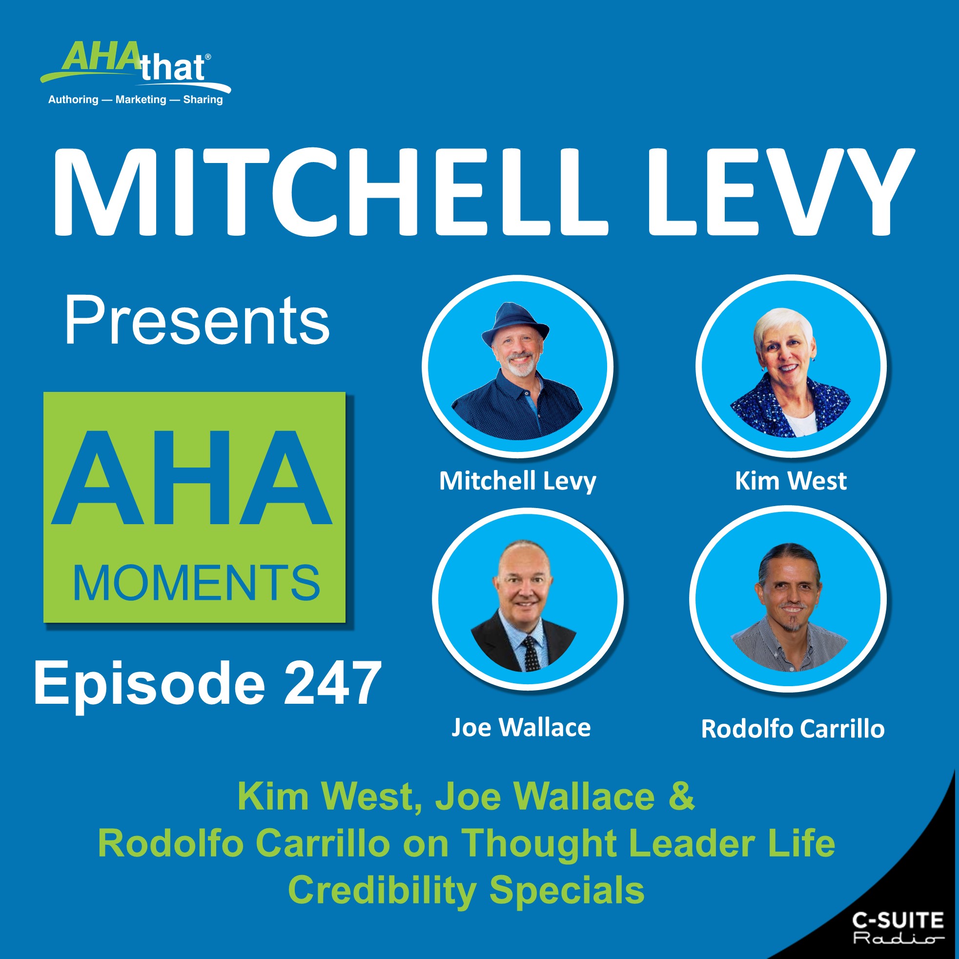 Mitchell Levy Presents AHA Moments