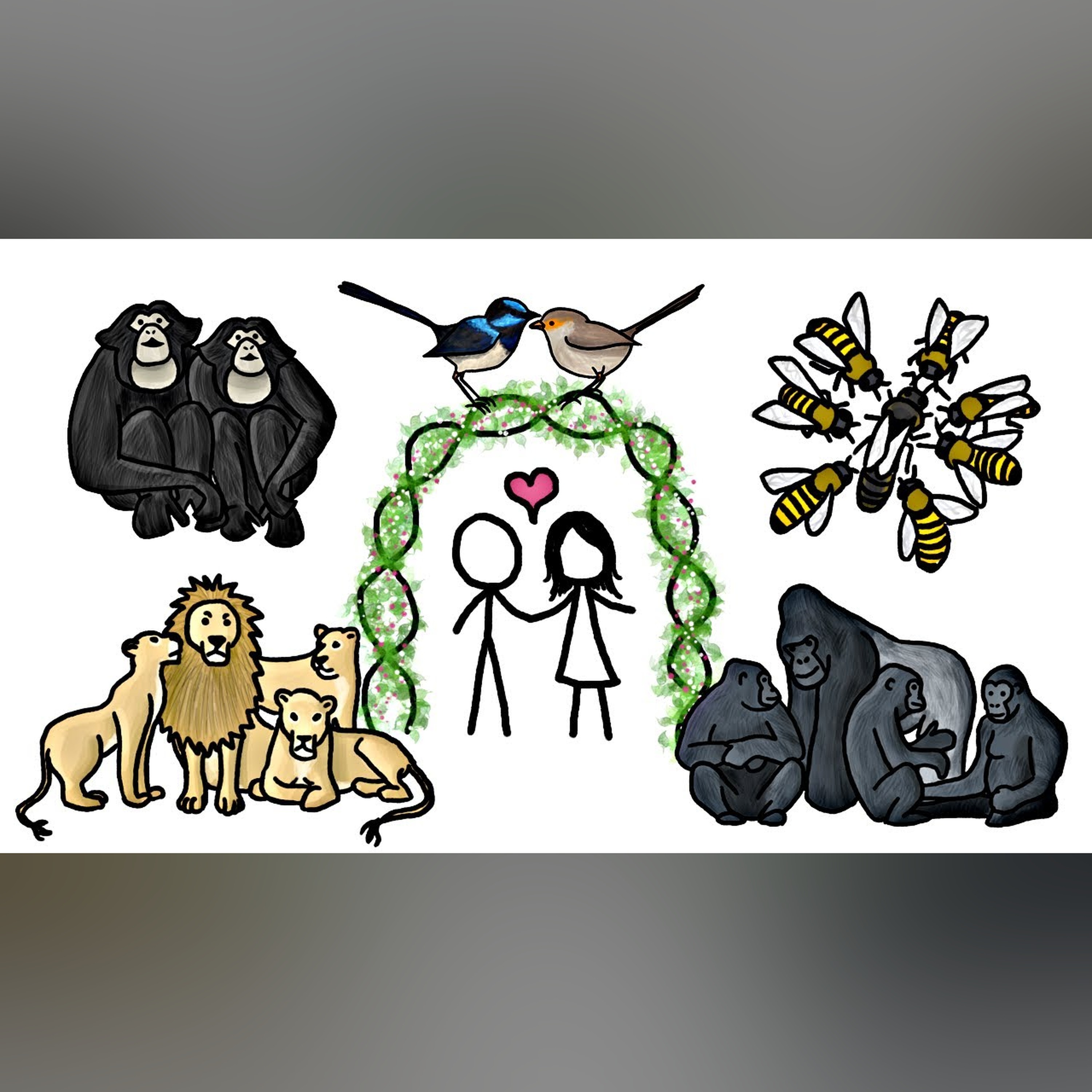 Are any Animals Truly Monogamous?