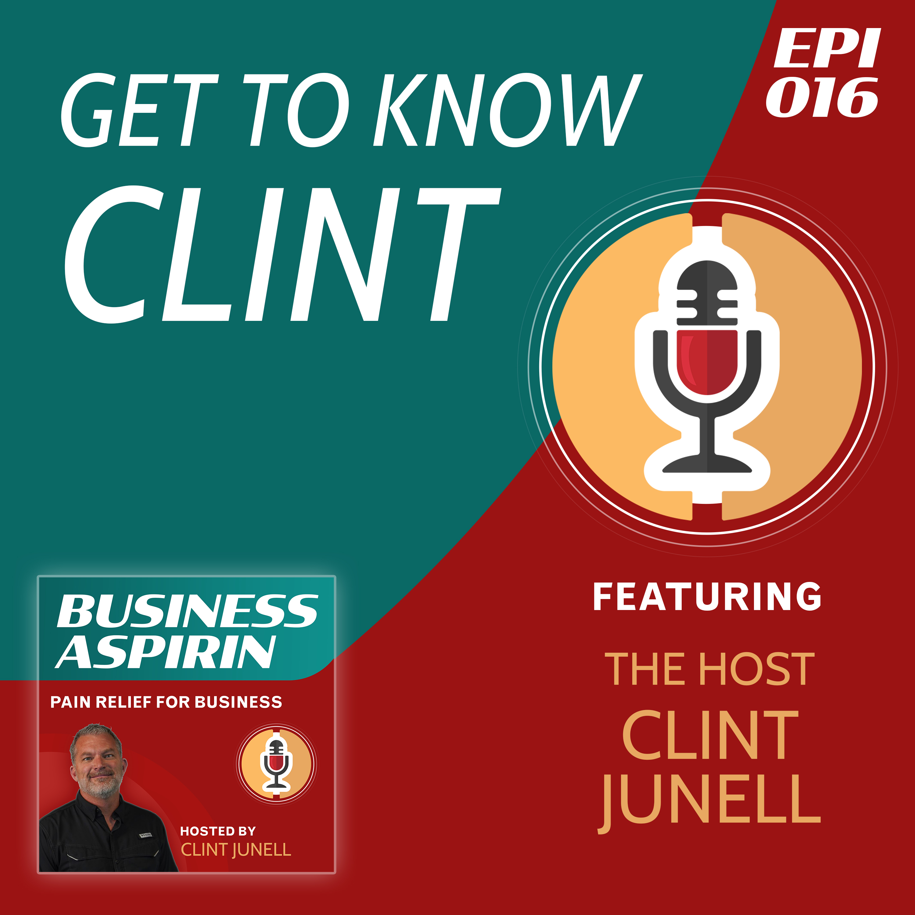 Business Aspirin:  Pain Relief for Business