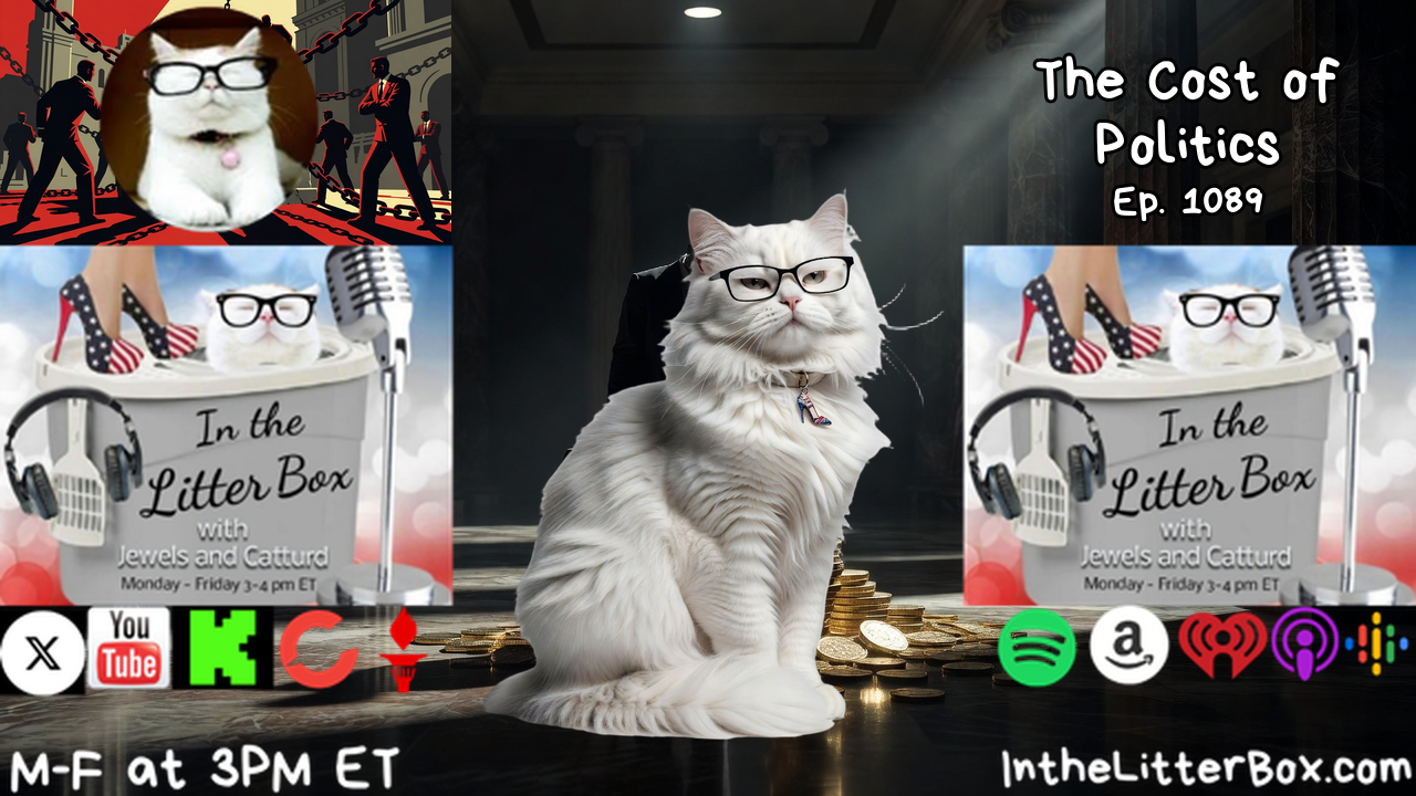 The Cost of Politics | In the Litter Box w/ Jewels & Catturd – Ep. 1089 – 9/8/2026