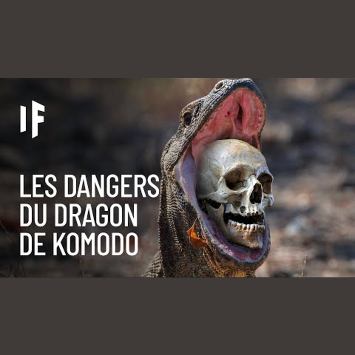 What If Français - Et Si