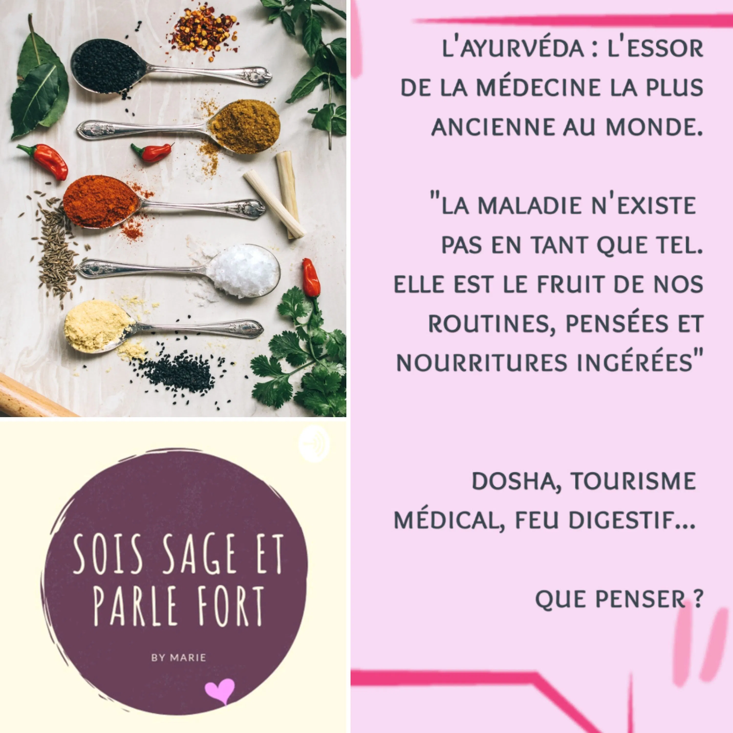 Ayurvéda, médecine originelle : Entre Doshas, feu digestif, tourisme médical et appropriation culturelle. Que penser ?