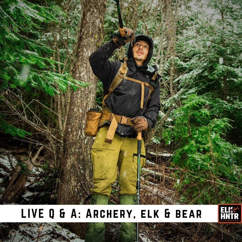 LIVE Q & A: Fitness, Elk & Spring Bear