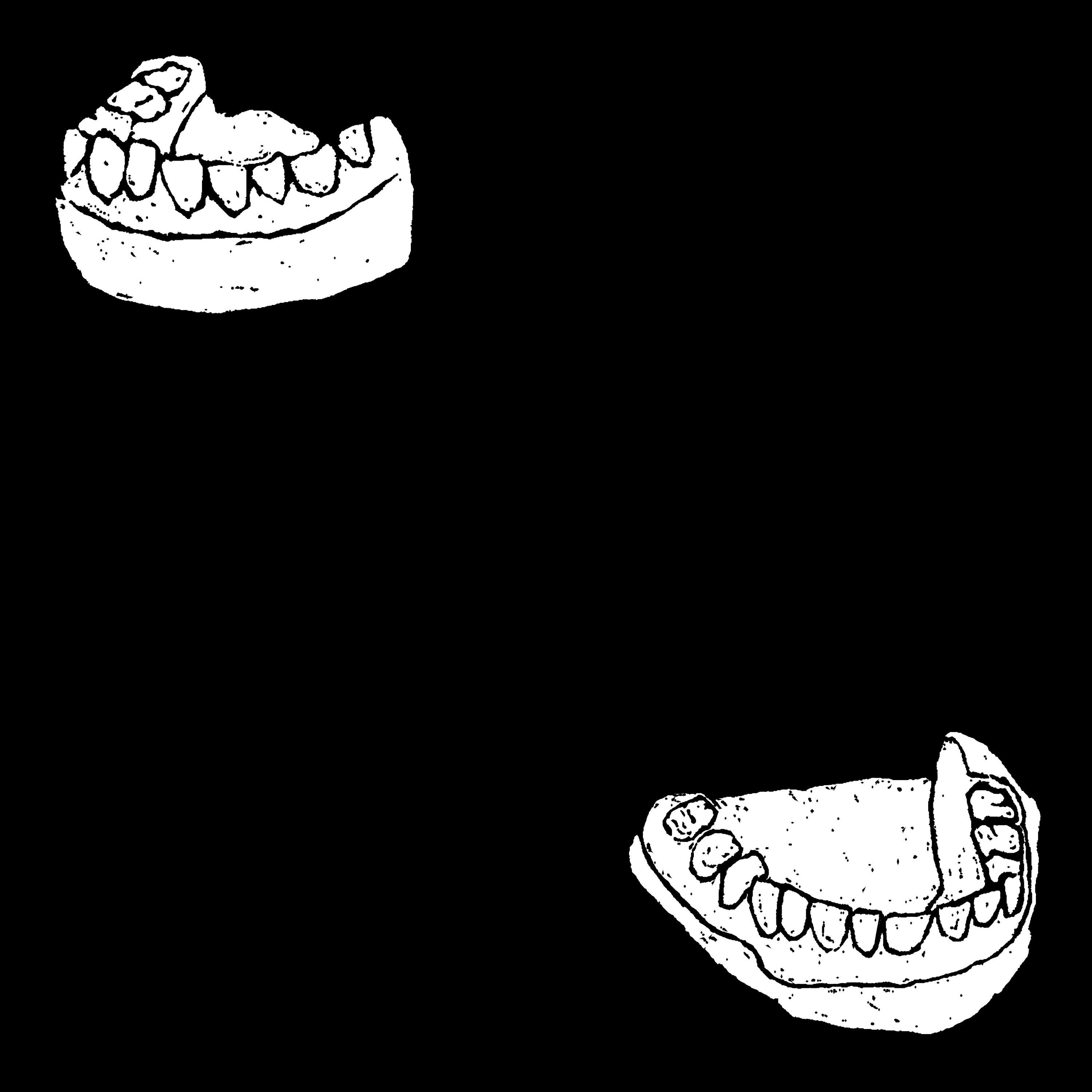 The Sailor's Teeth