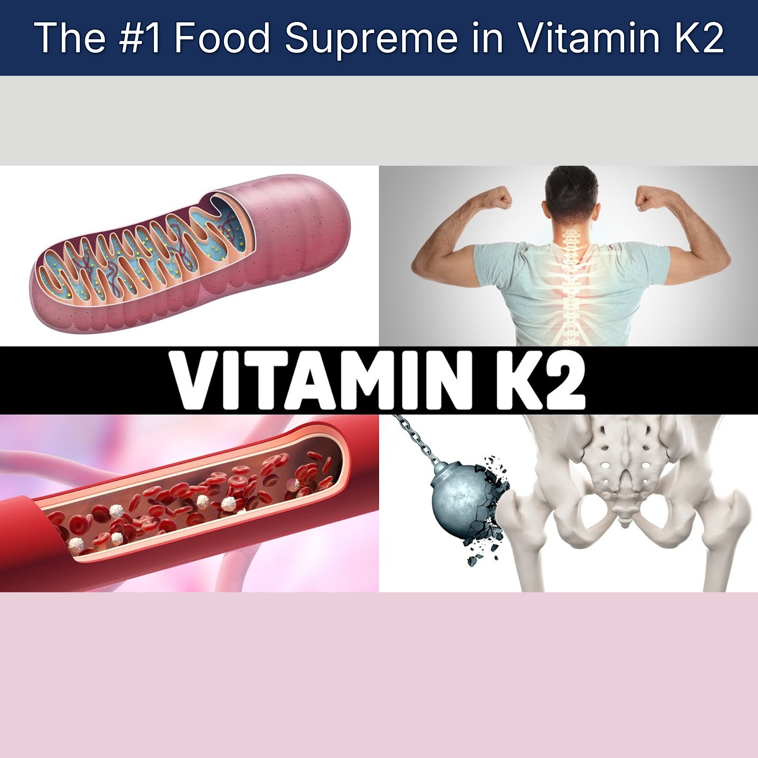The #1 Food Supreme in Vitamin K2