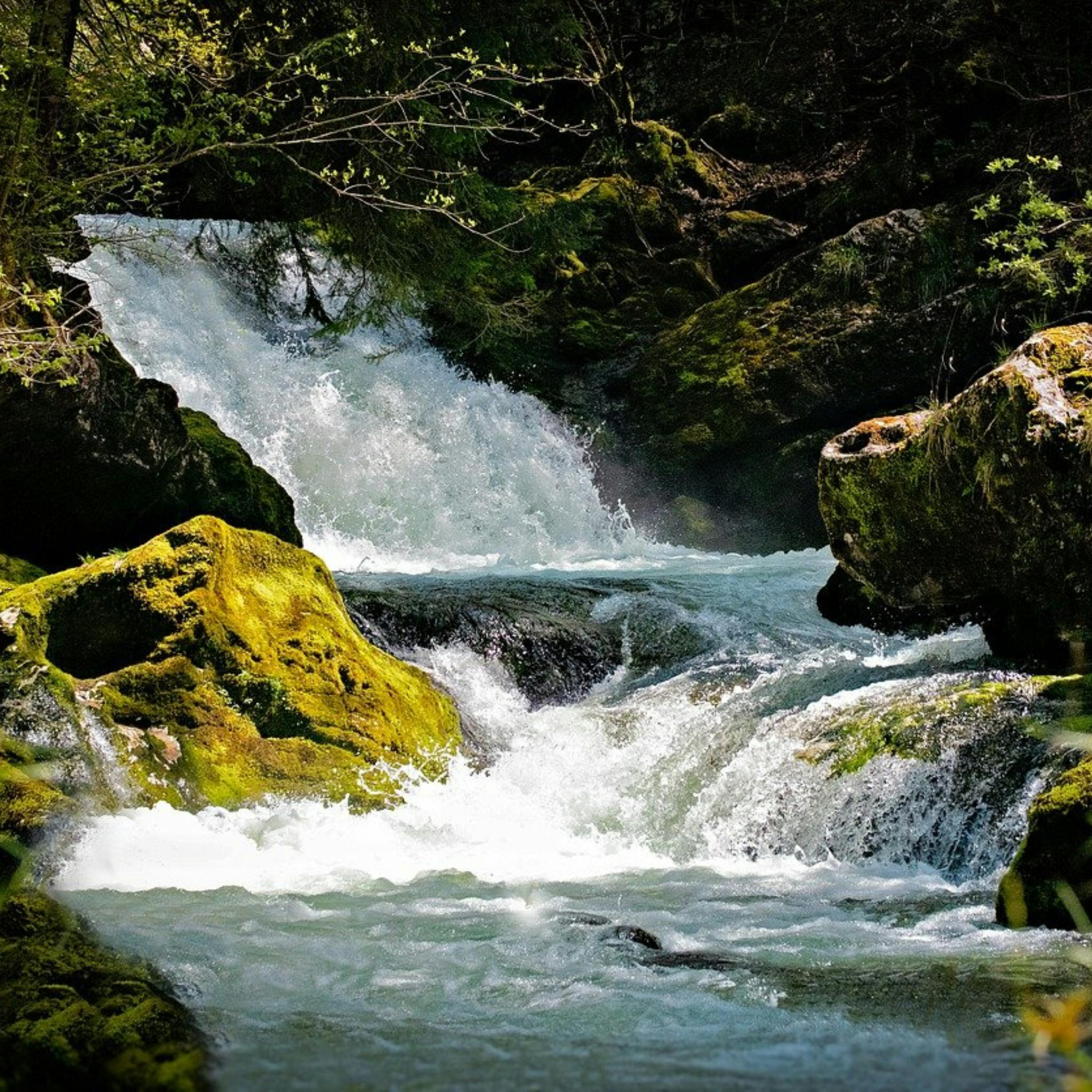 Encuentra el DESCANSO con el Suave Sonido de una CASCADA y MÚSICA Relajante episode artwork