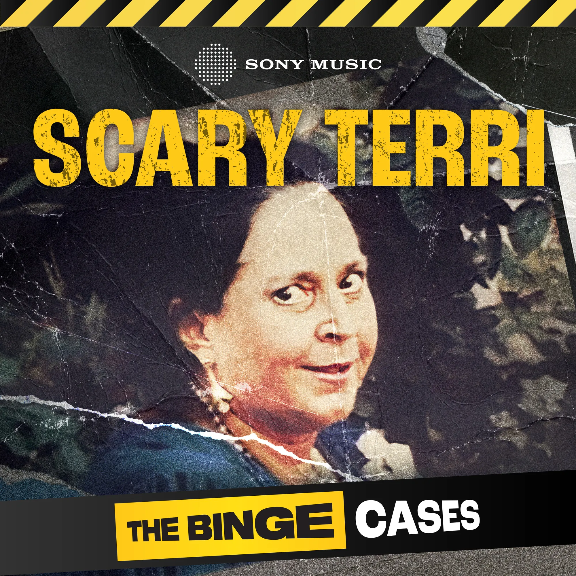 Scary Terri | 4. Becoming Mrs. Hoffman — The Binge Cases: My Mother's Lies cover