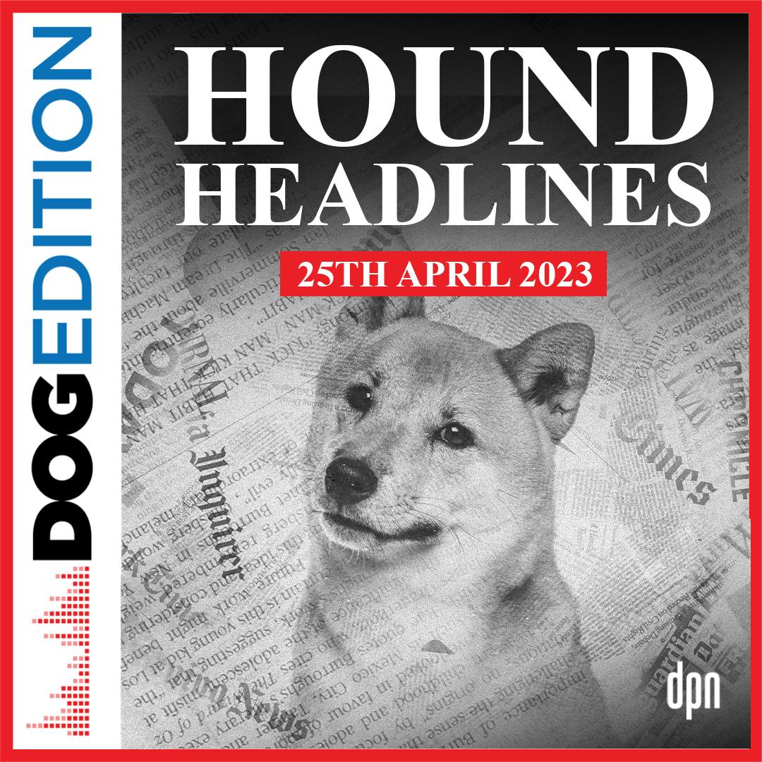 Hound Headlines 4/25/23 | Dog Edition #93