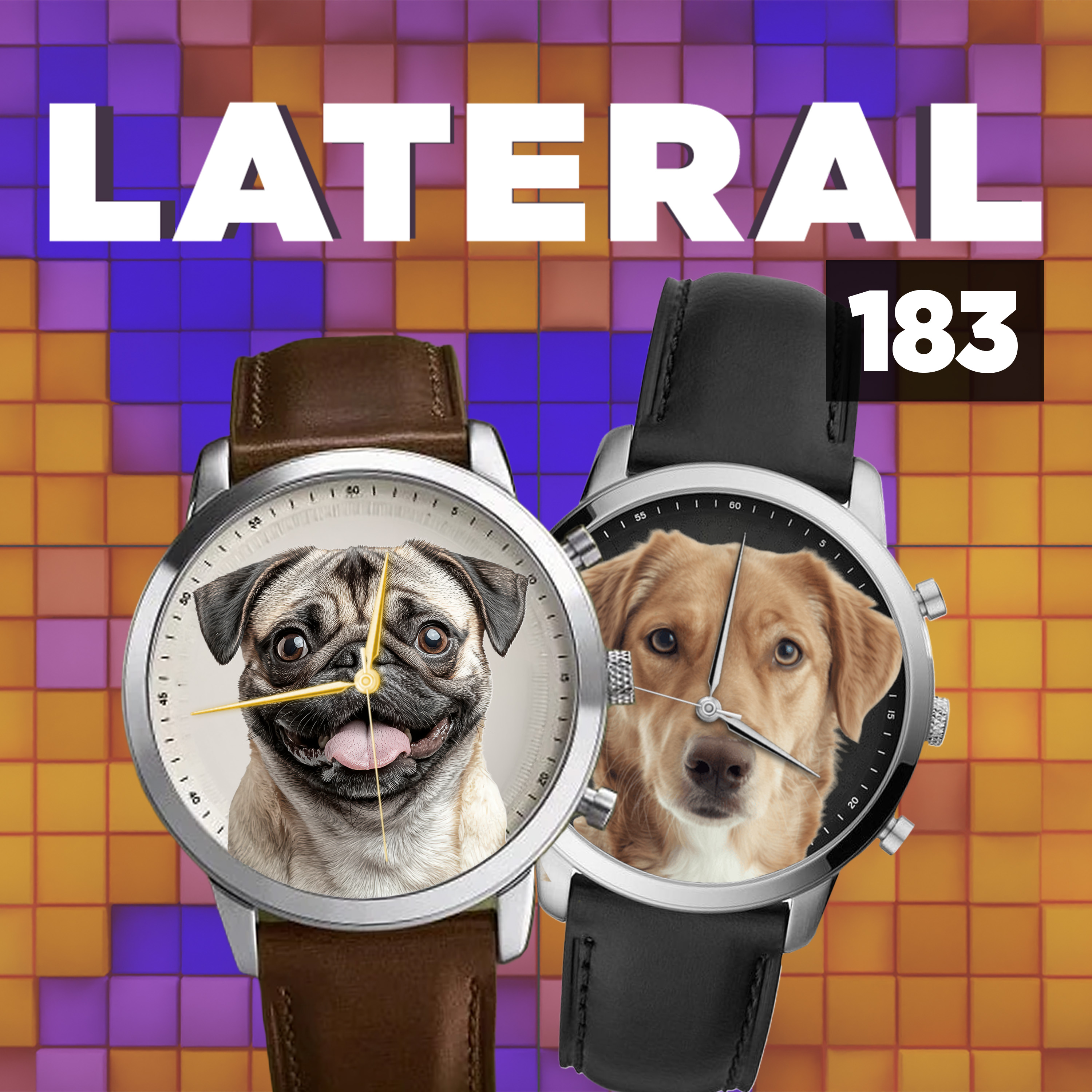 183: Dog watches artwork