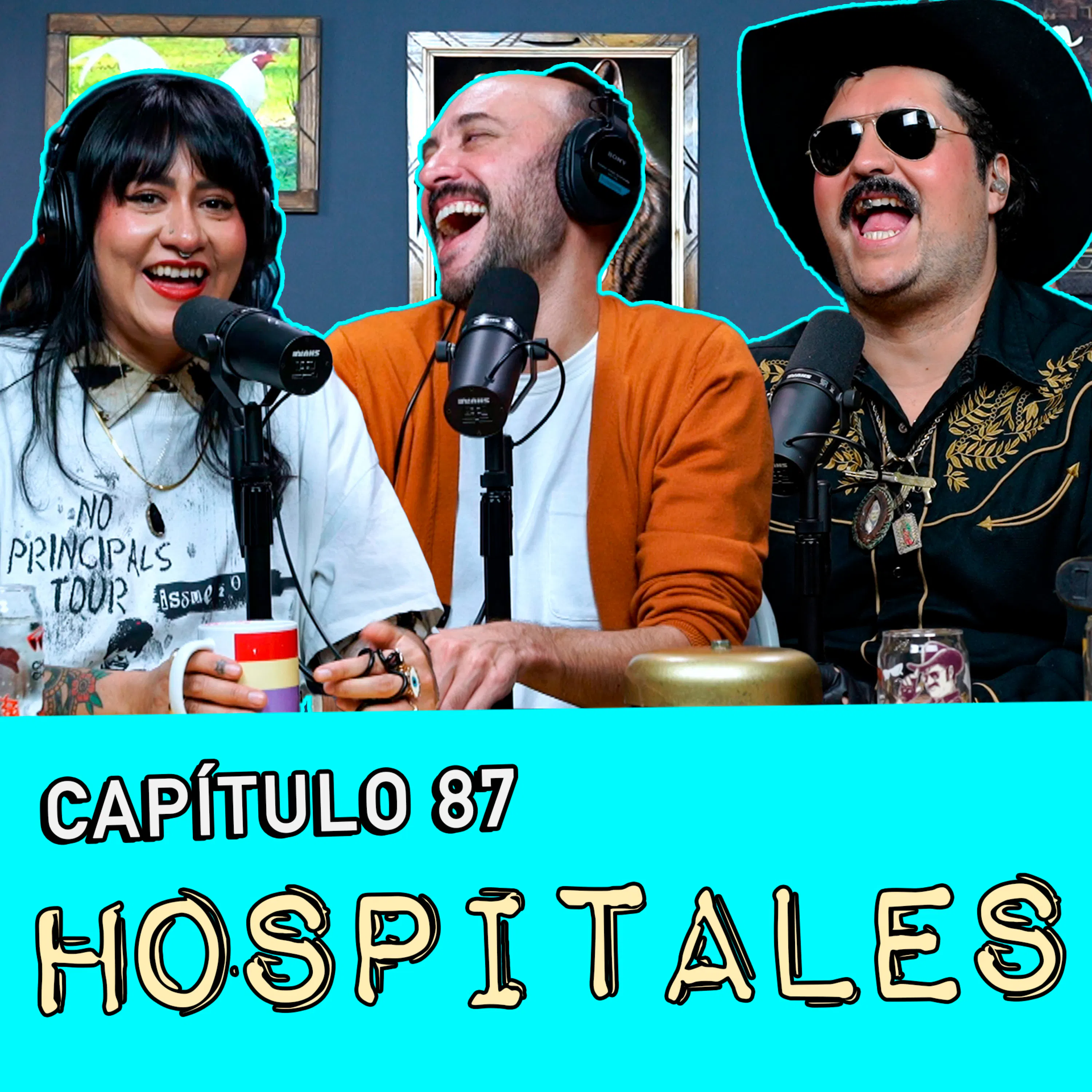Capítulo 87: Hospitales episode artwork