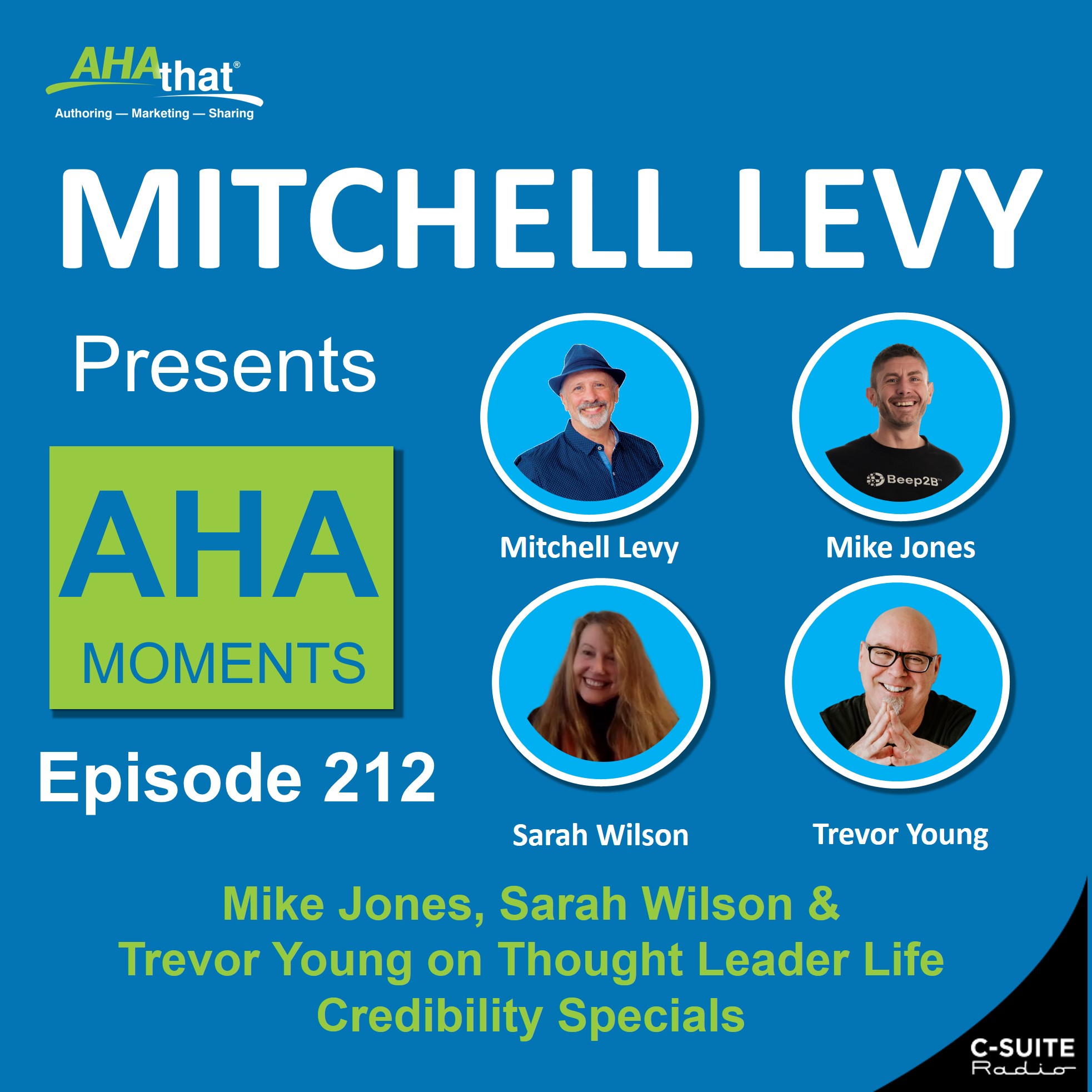 Mitchell Levy Presents AHA Moments