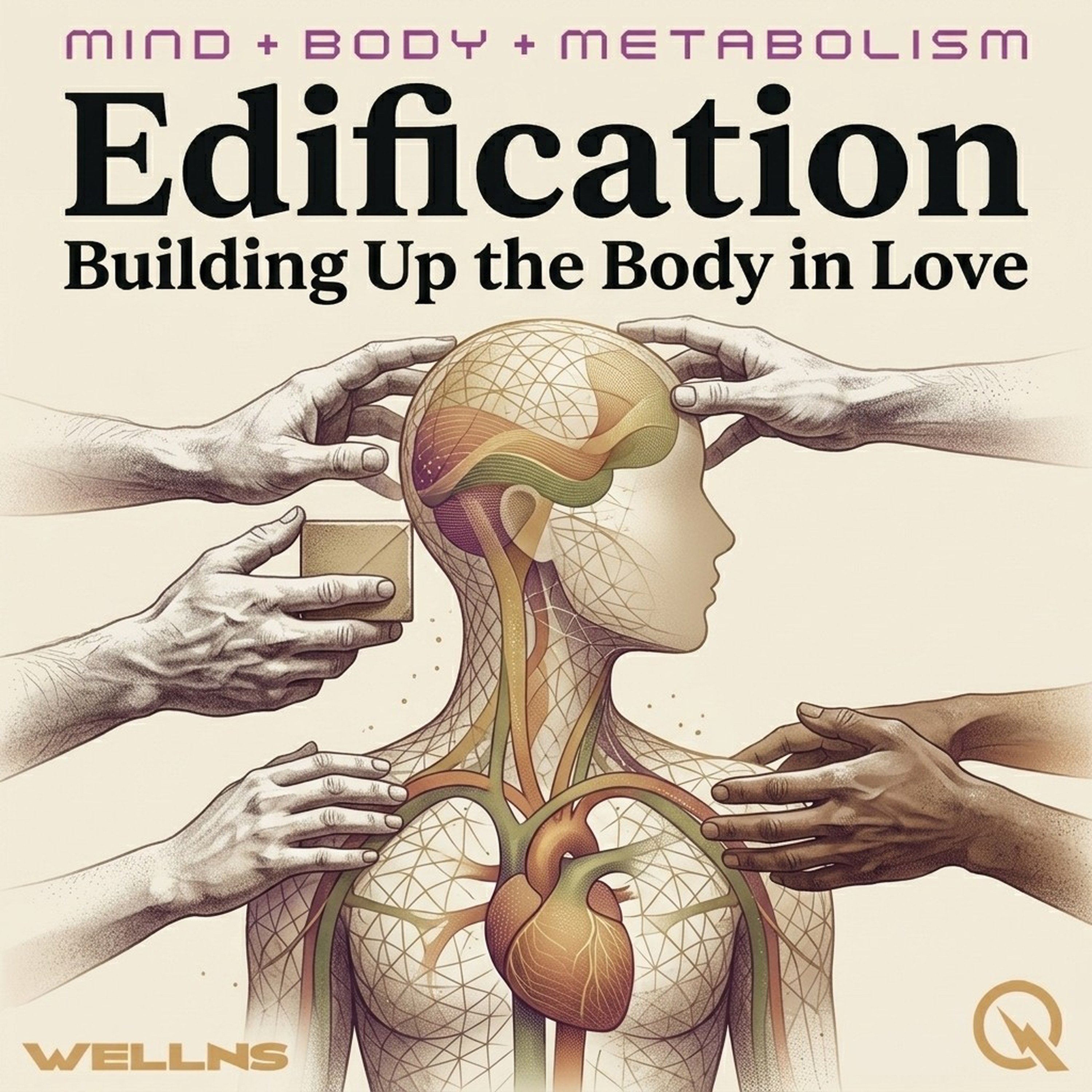Edification