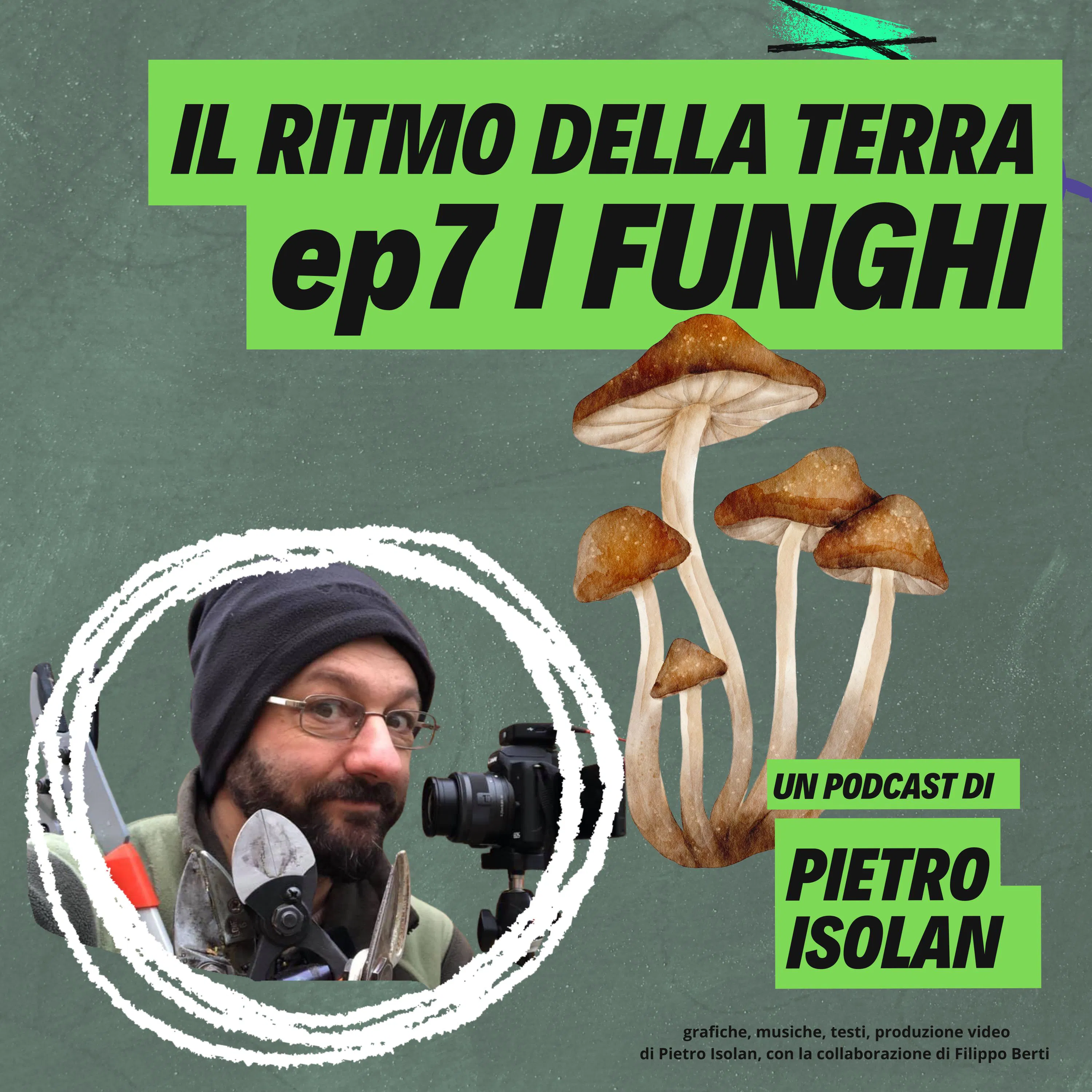 I FUNGHI - il ritmo della terra coltivare è pop! - ep 7