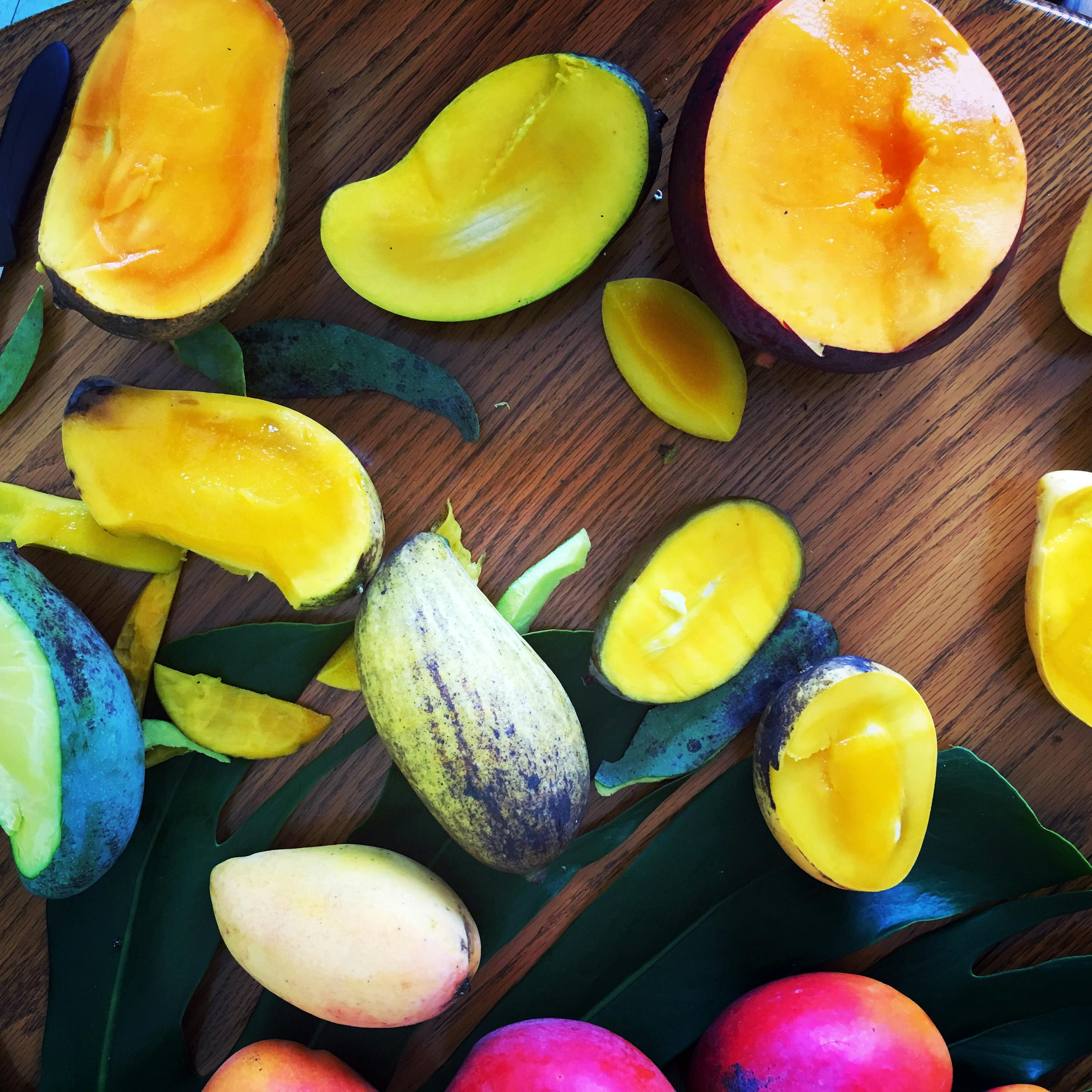 Mango Mania: How the American Mango Lost its Flavor—and How it Might Just Get it Back (encore)