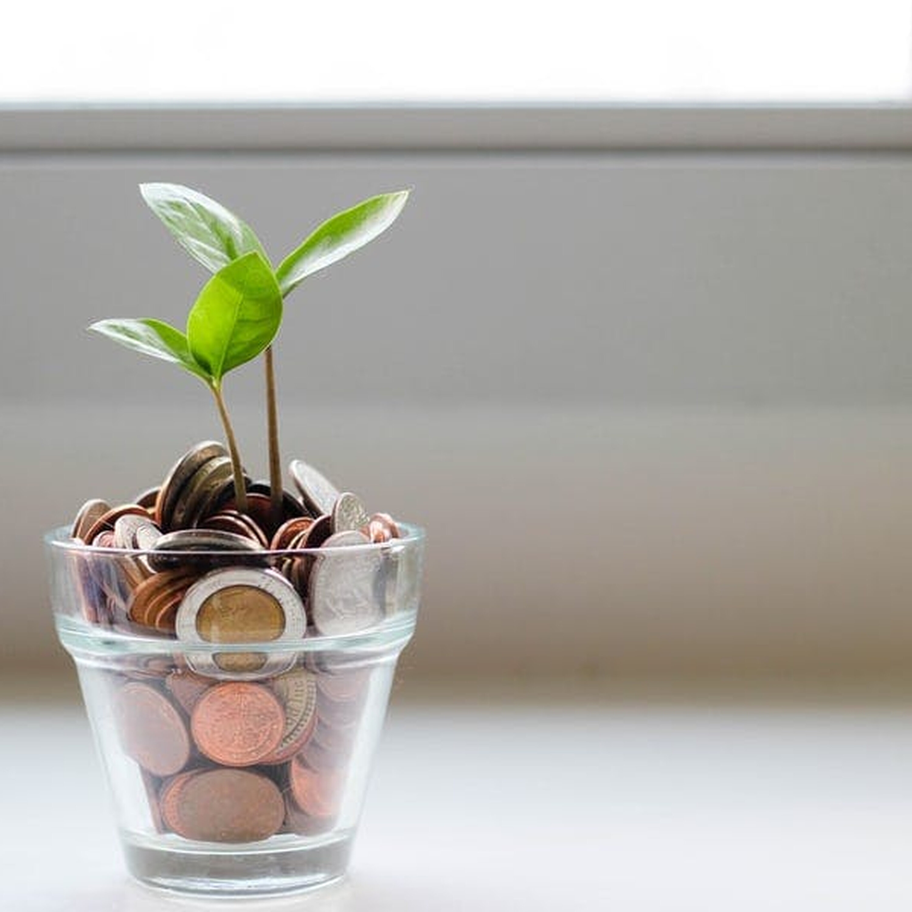 Ep. 152: A Visit From Violet and Finding Money In Your Own Backyard