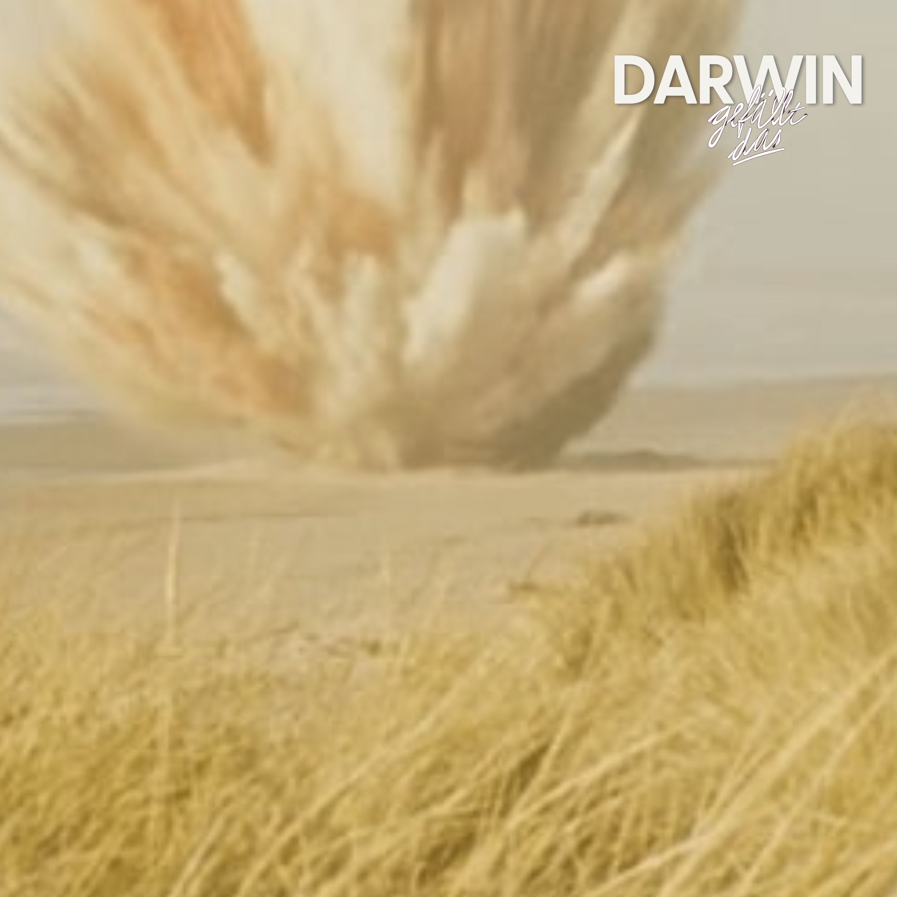 DGD Extrablatt: Ein Wal explodiert