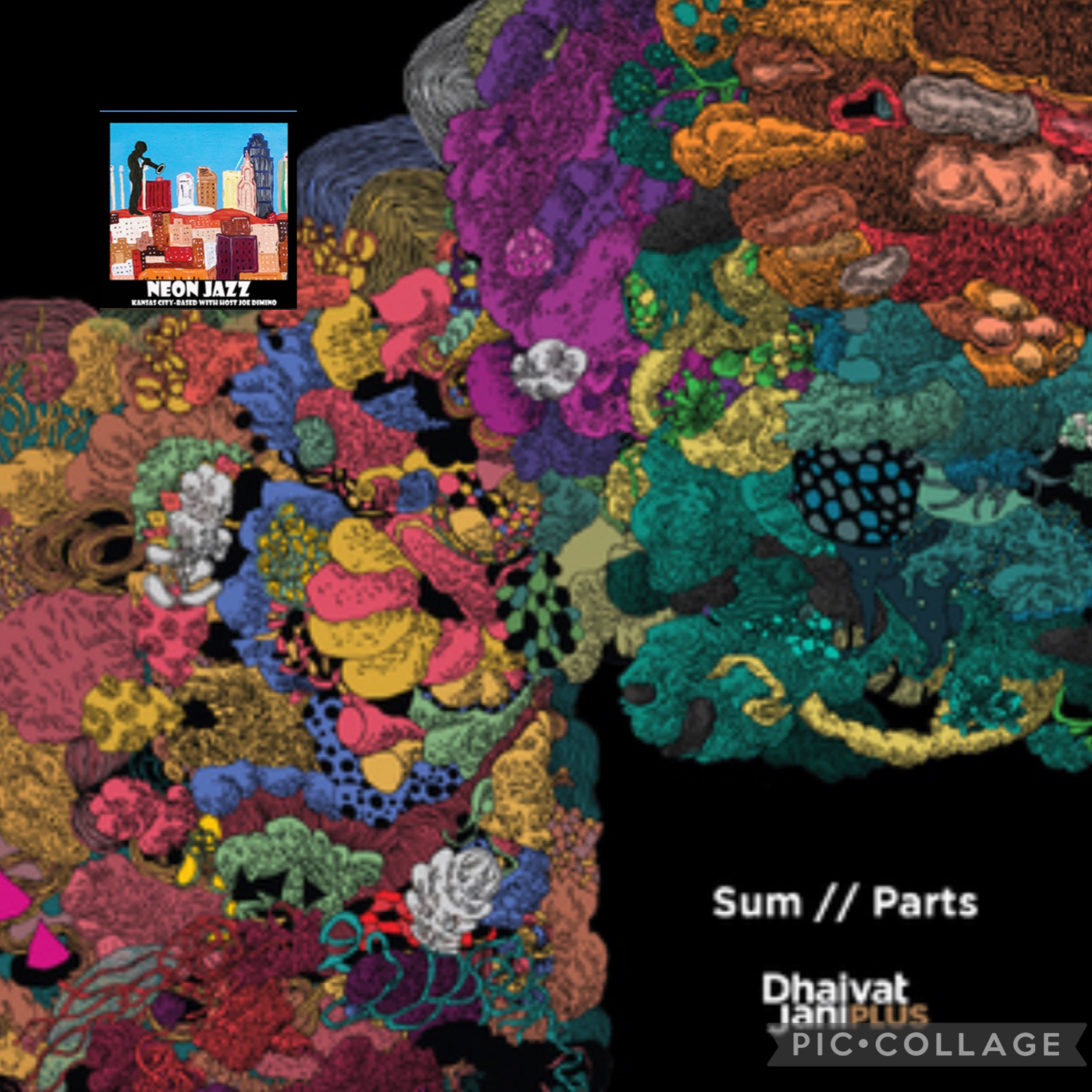 Toronto-based Jazz Drummer Dhaivat Jani episode artwork