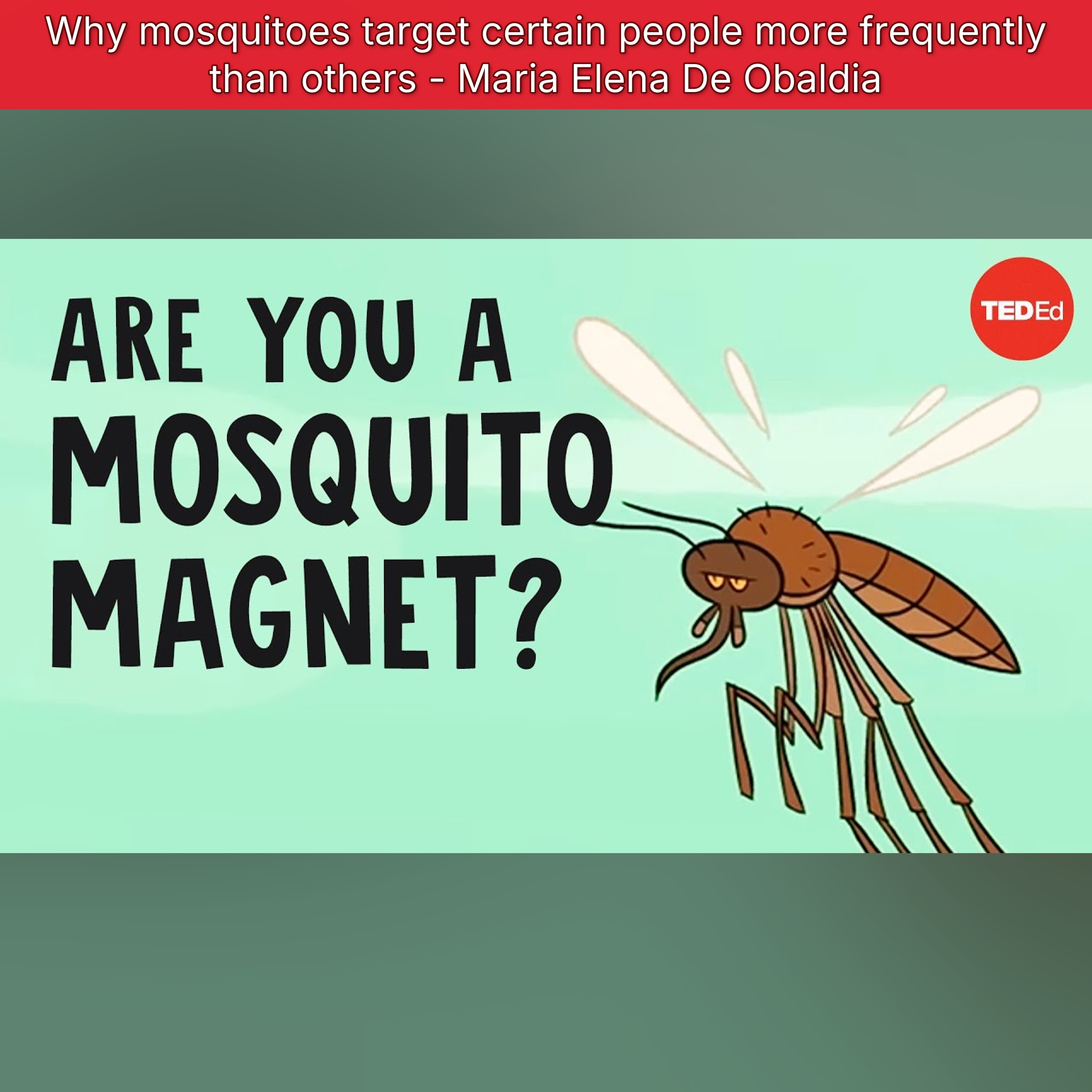 Why mosquitoes target certain people more frequently than others - Maria Elena De Obaldia episode artwork