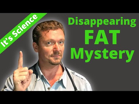 Where Does FAT Go When You “Burn" It? Surprise!