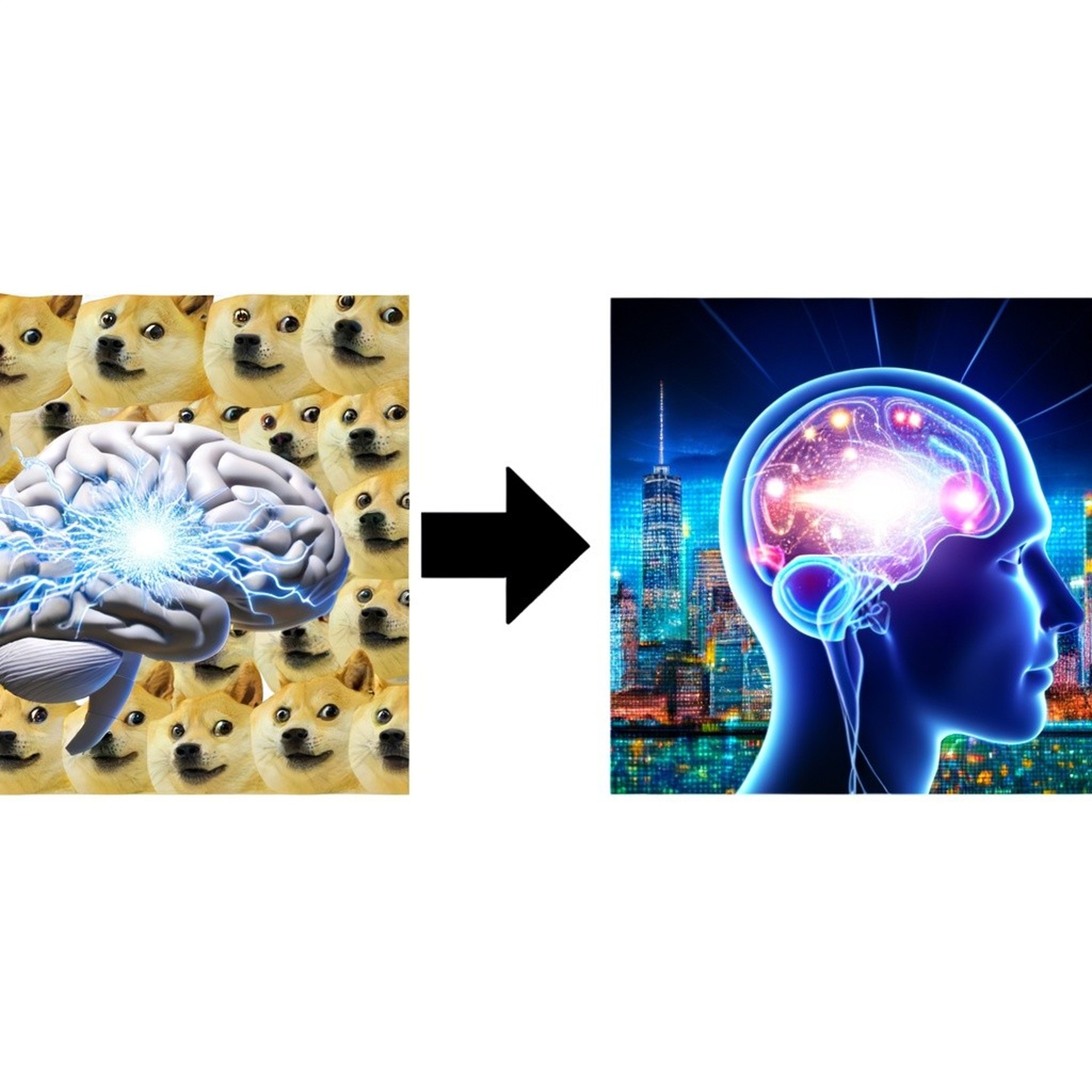 Gov Efficiency Beyond Meme: DOGE Thinking Work?