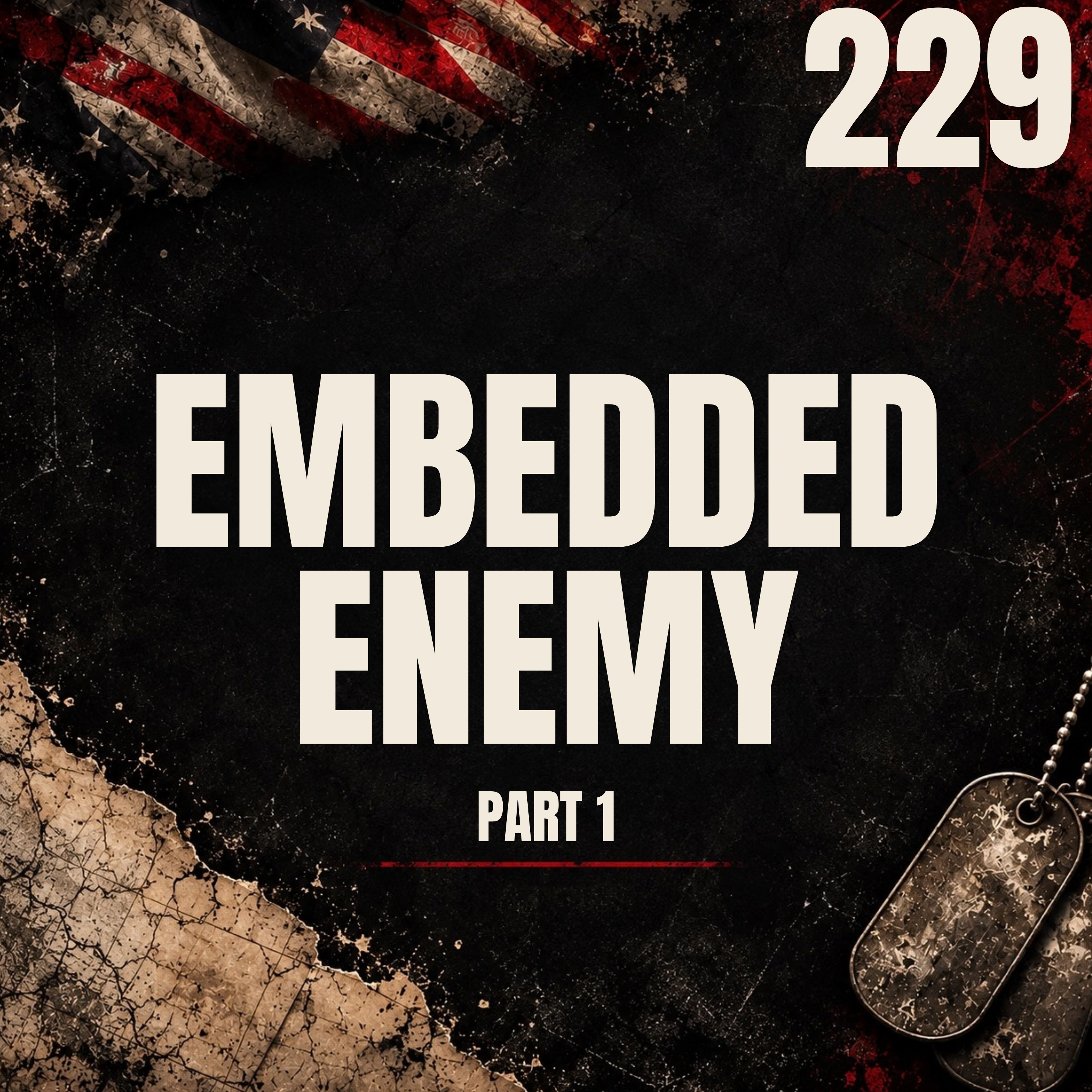 229 || Embedded Enemy || Exclusive with CSM (Ret) Bart Womack [Part 1]