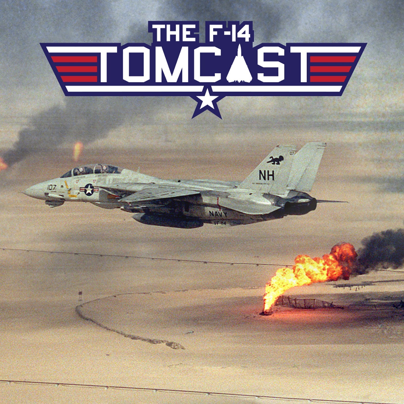 12. F-14 Tomcats in Desert Storm
