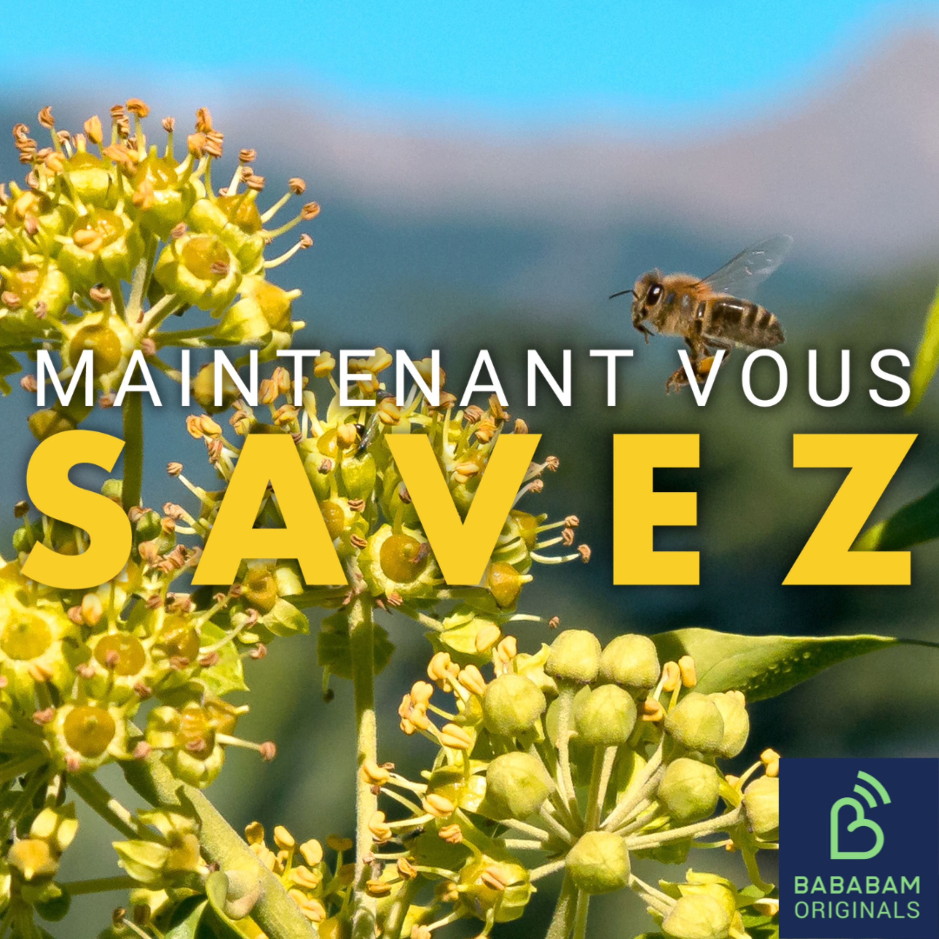 Comment soulager ses allergies ? 