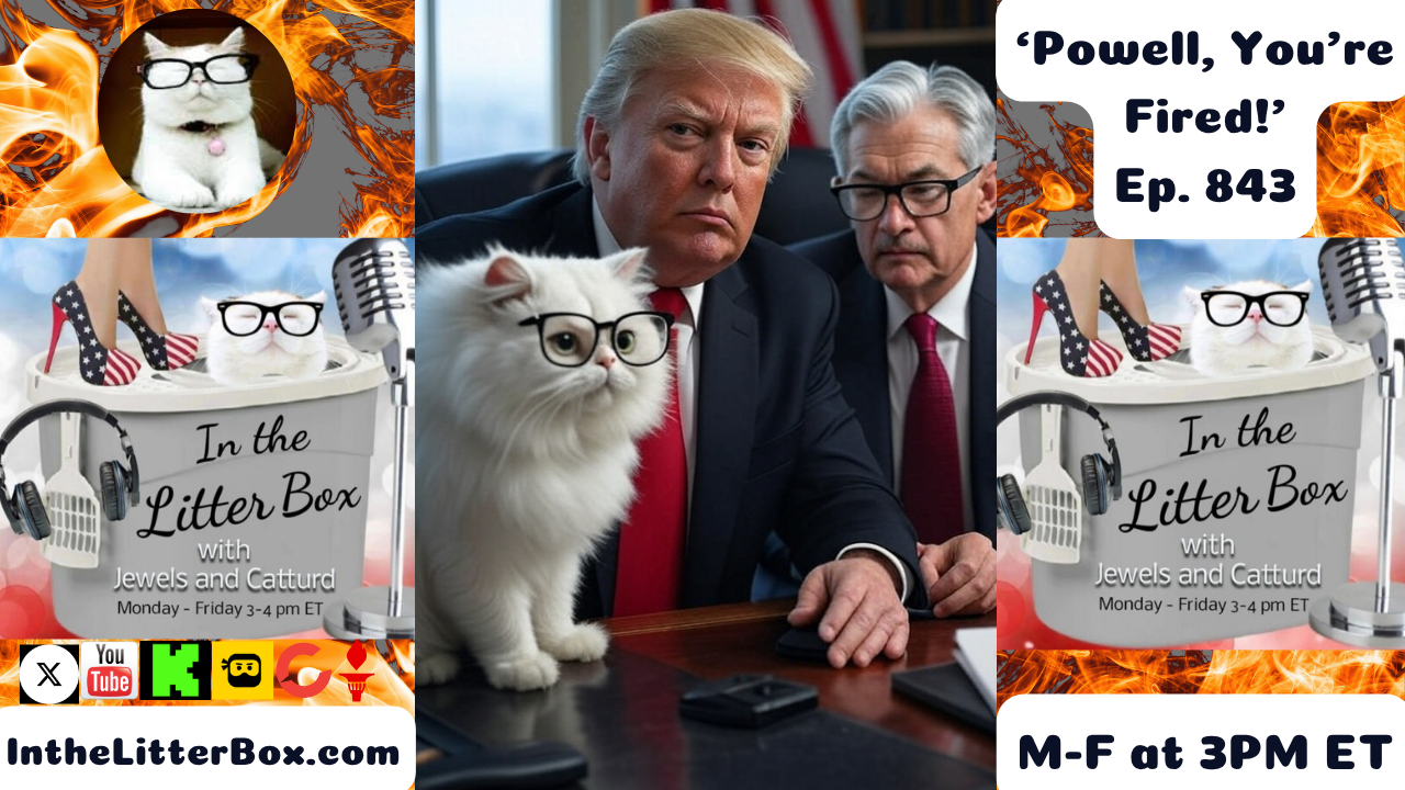 'Powell, You're Fired!'| In the Litter Box w/ Jewels & Catturd – Ep. 843 – 7/17/2025