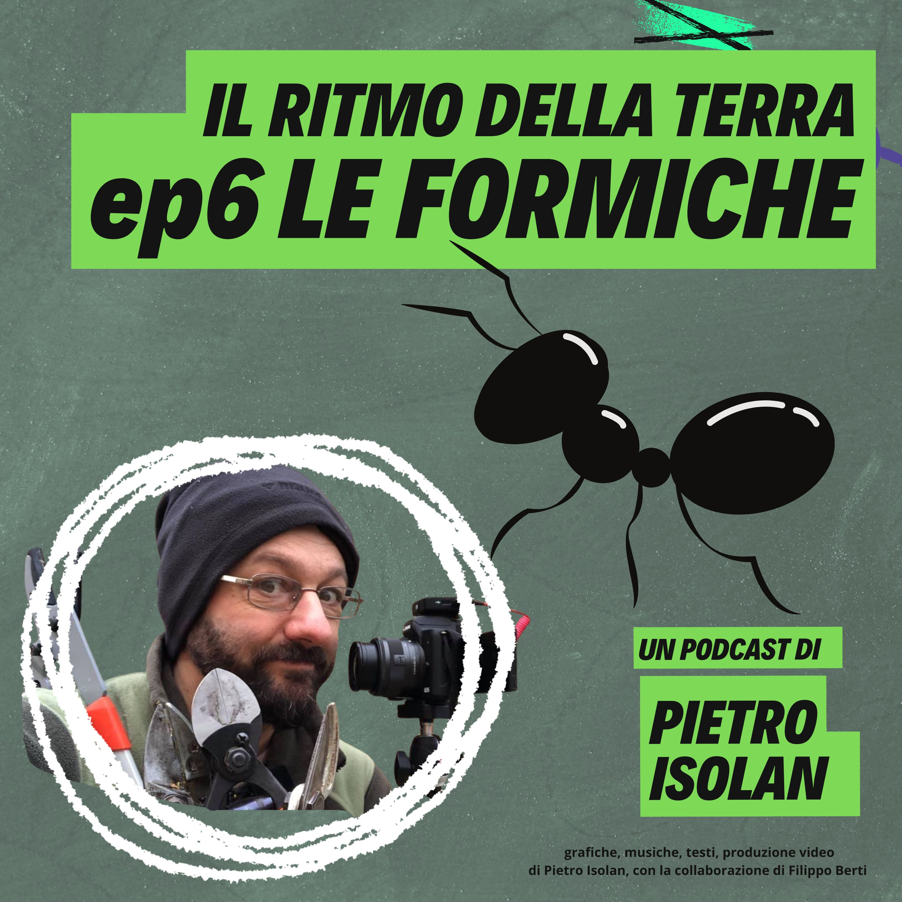 LE FORMICHE - il ritmo della terra, coltivare è pop! - ep 6