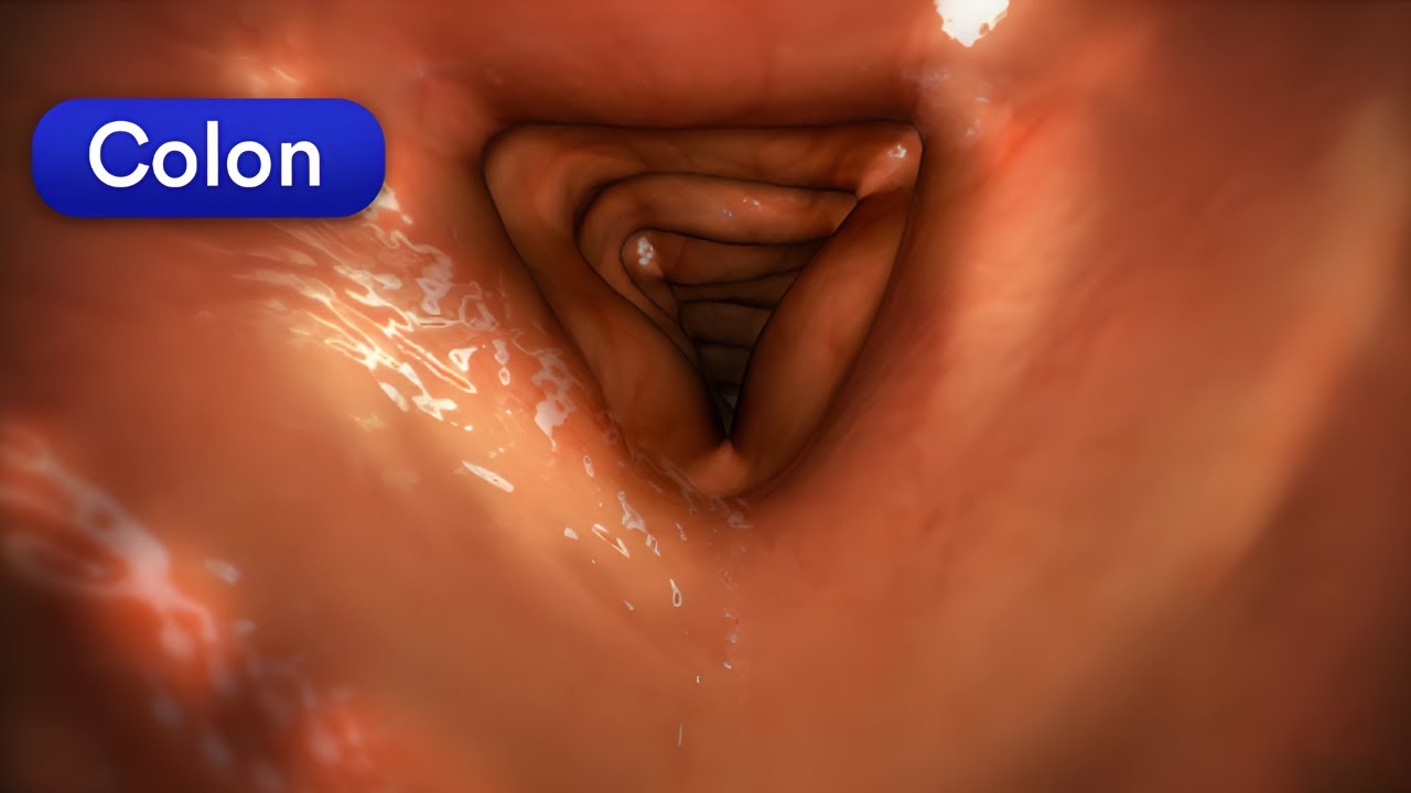 The #1 Way to UNCLOG Your Colon Fast