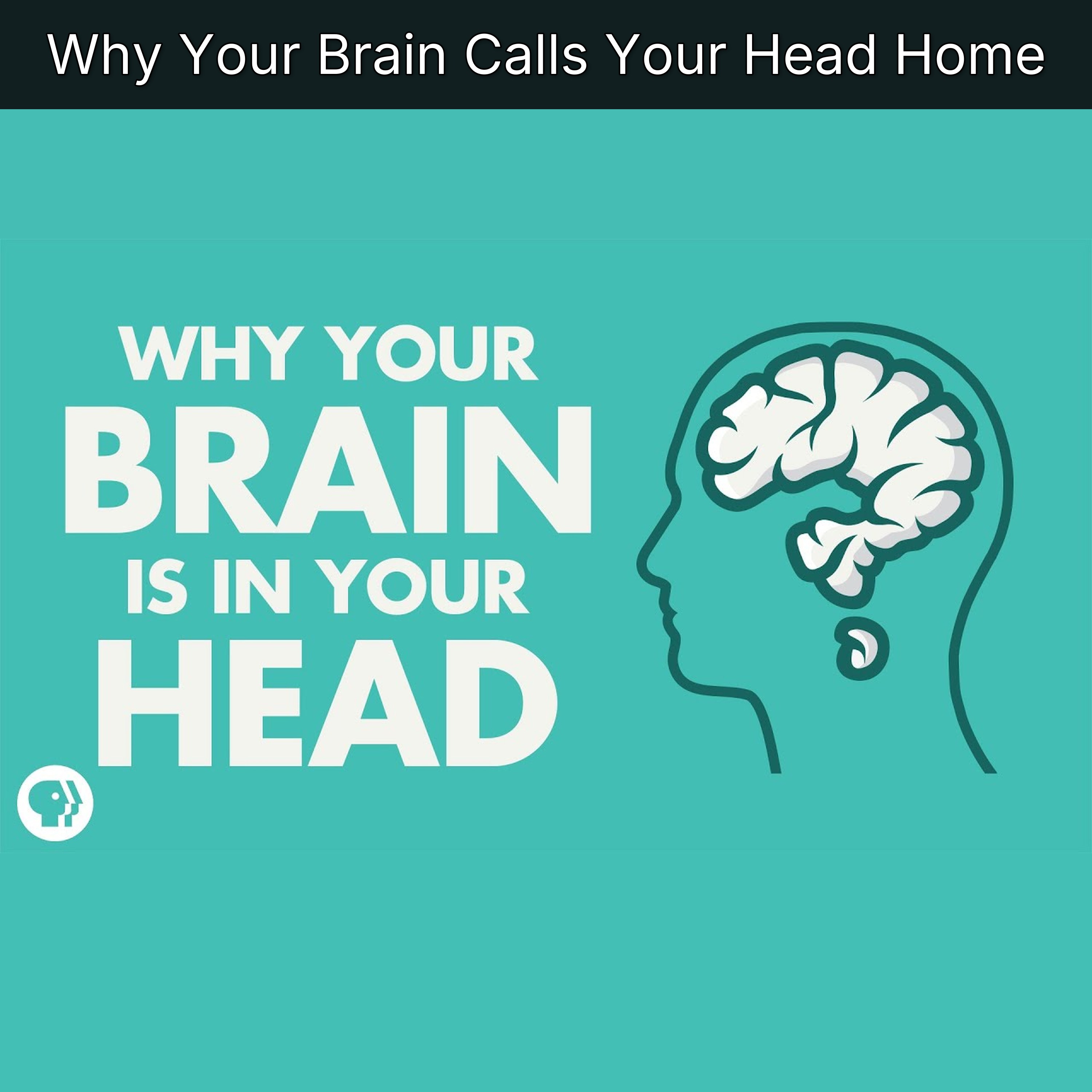 Why Your Brain Calls Your Head Home episode artwork