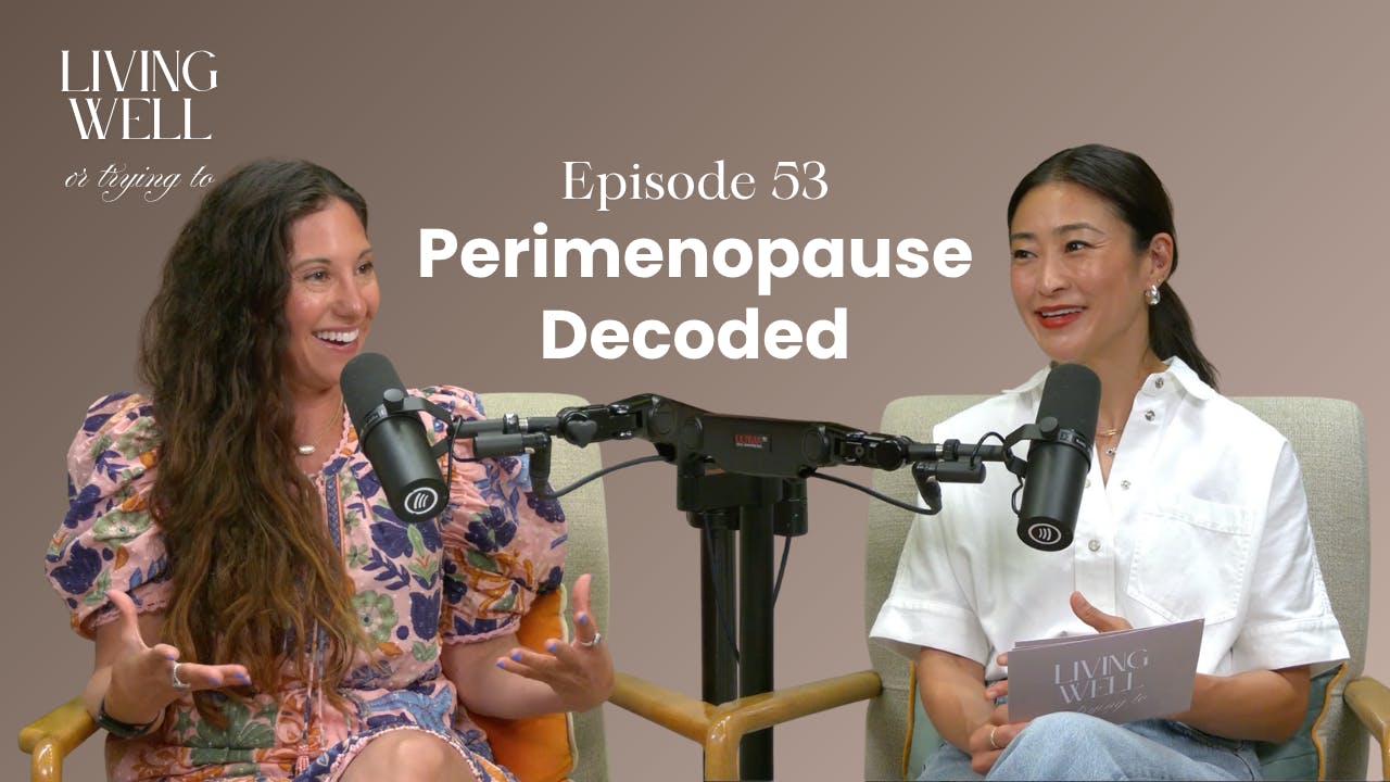 Episode 53: Perimenopause Decoded with Dr. Mariza Snyder Episode 53: Perimenopause Decoded with Dr. Mariza Snyder