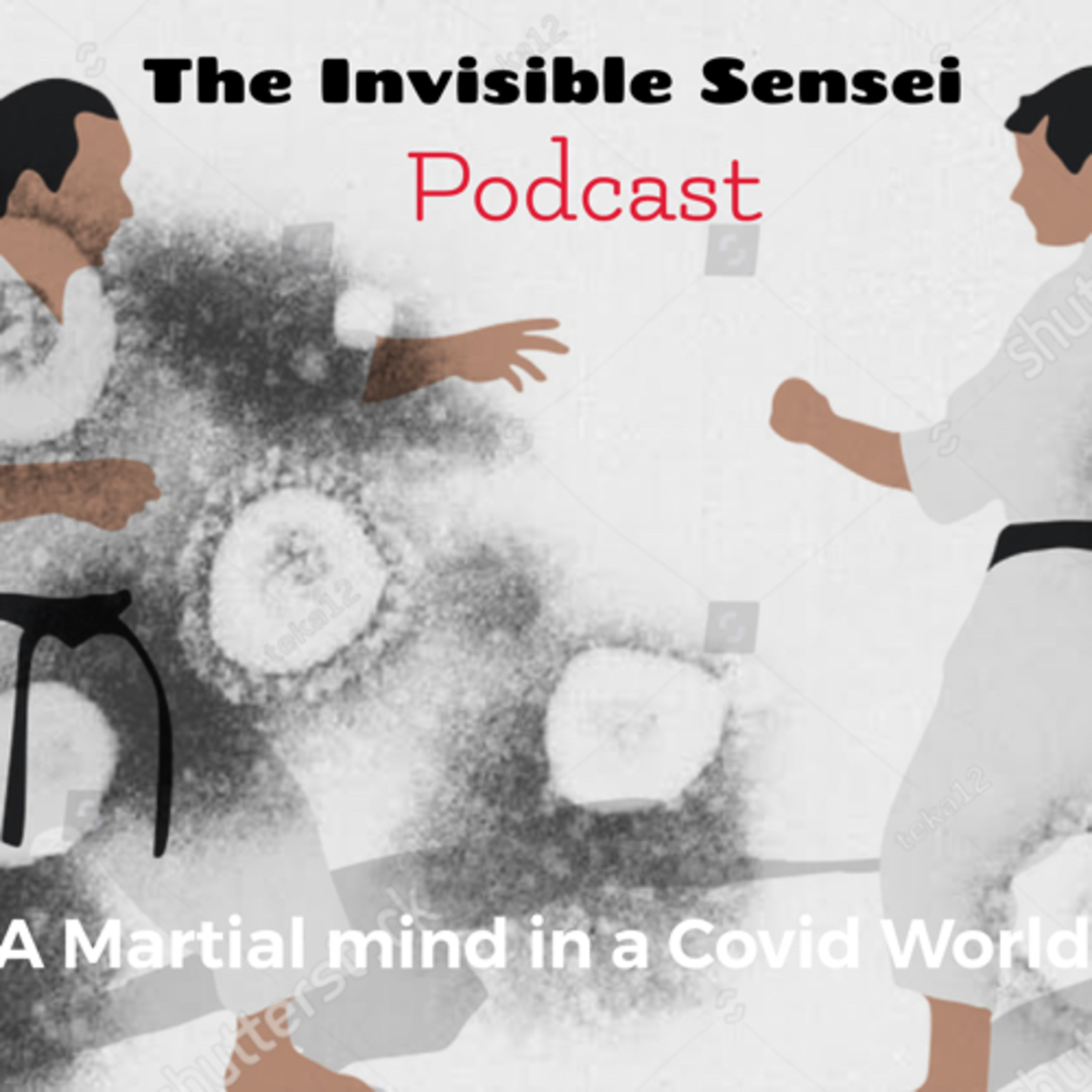 The Invisible Sensei