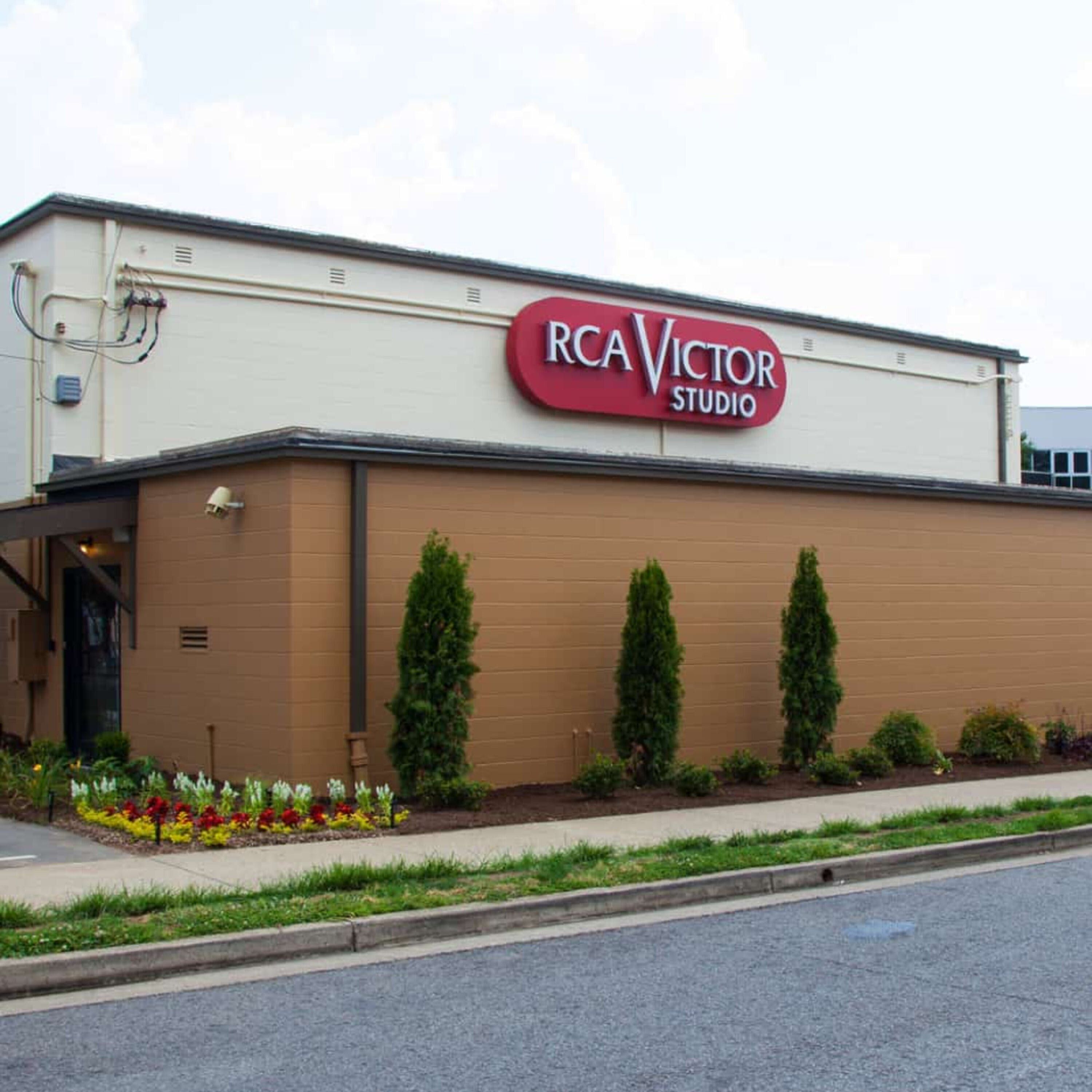 DittyTV\'s Insights | Music Interviews